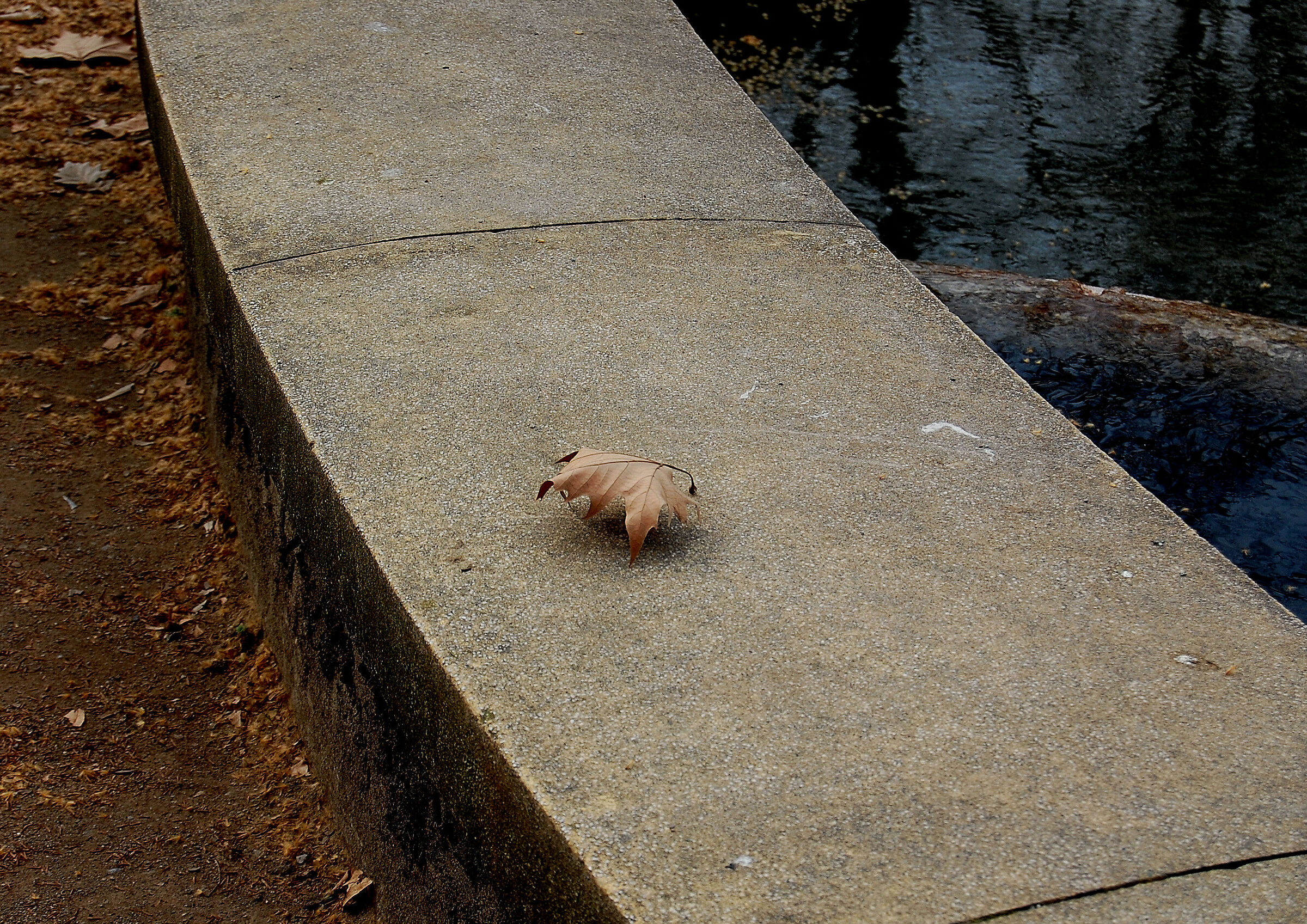 If the wind comes from which way will I fall?