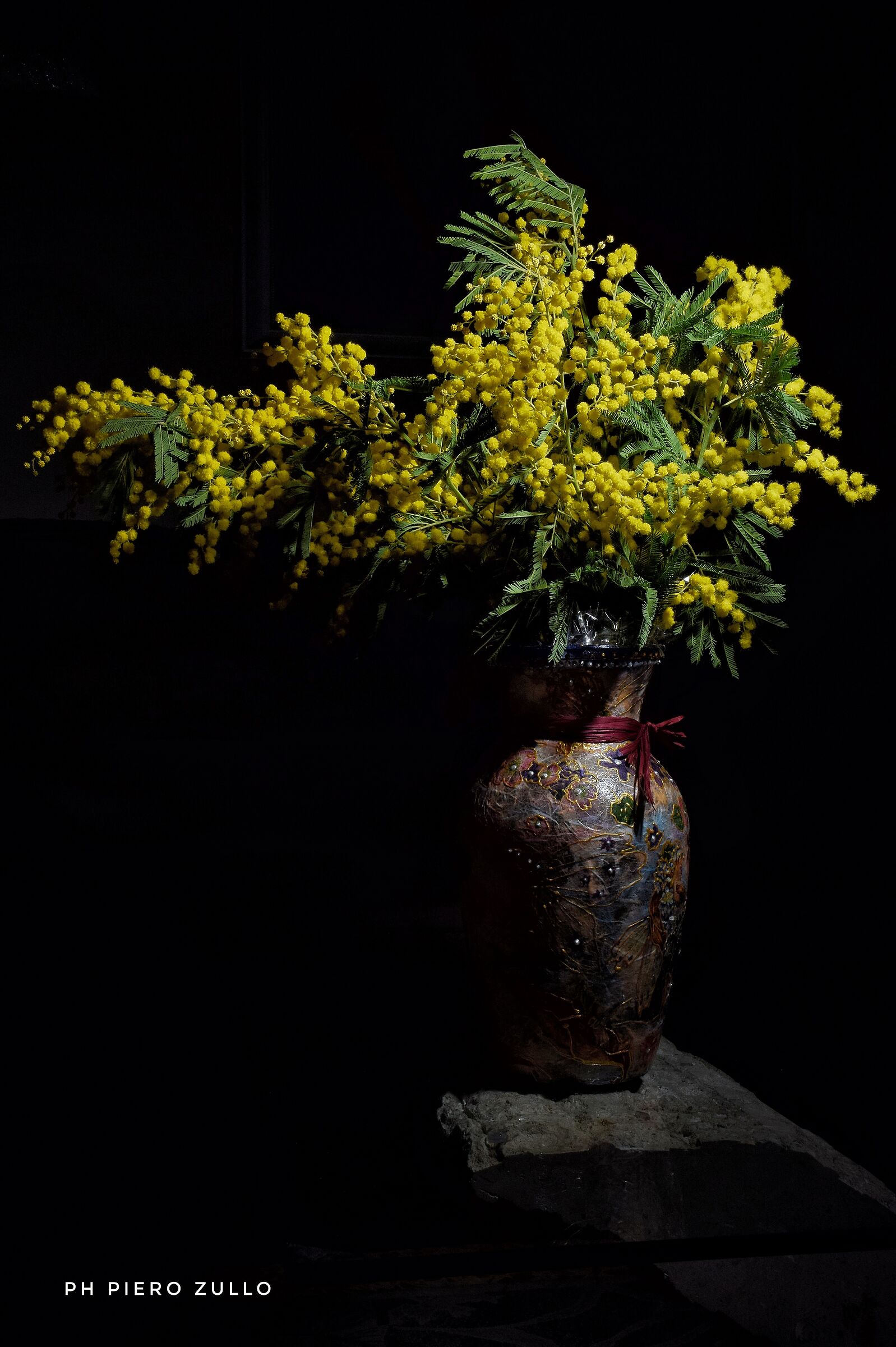 Mimose