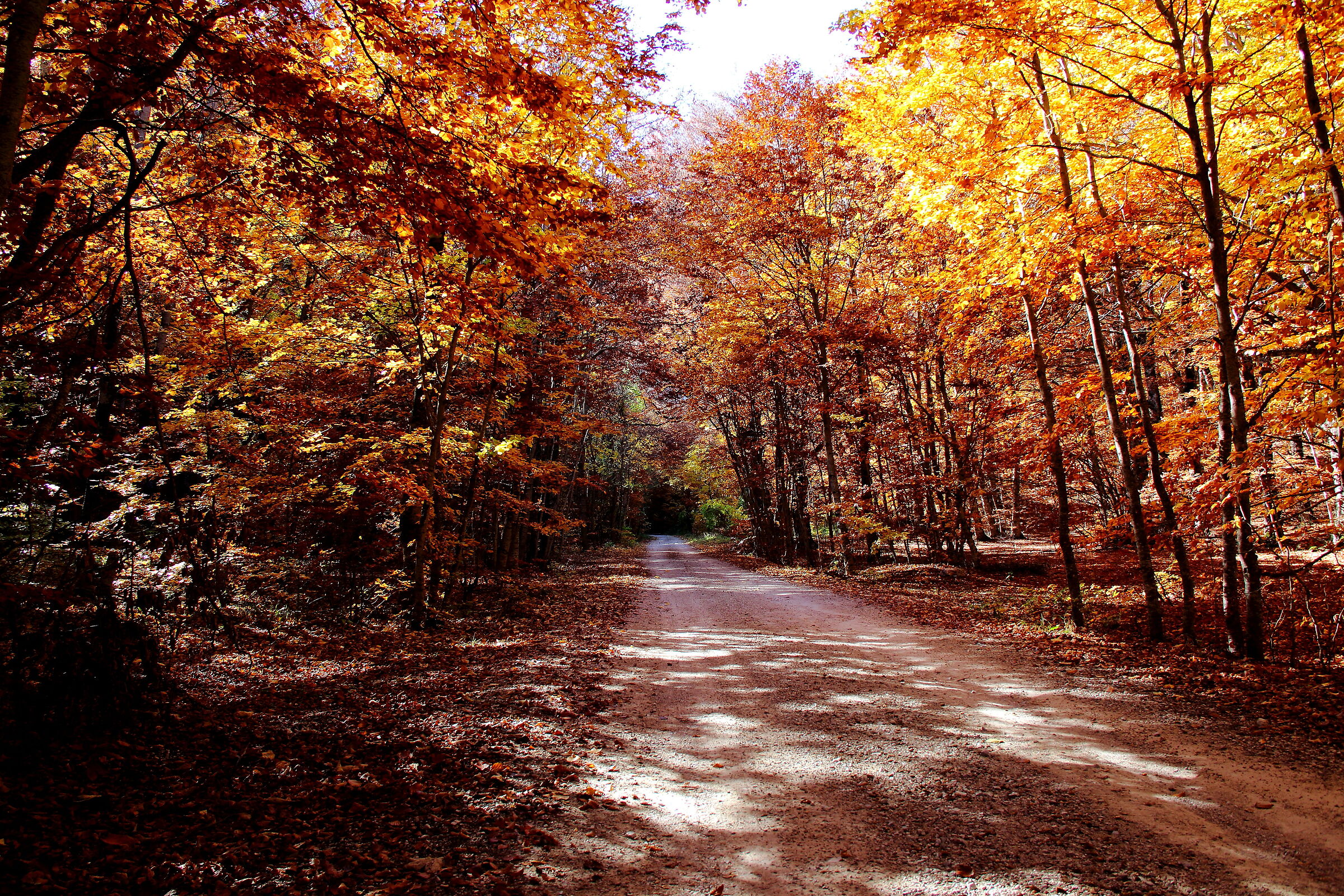 Autumn, it was...