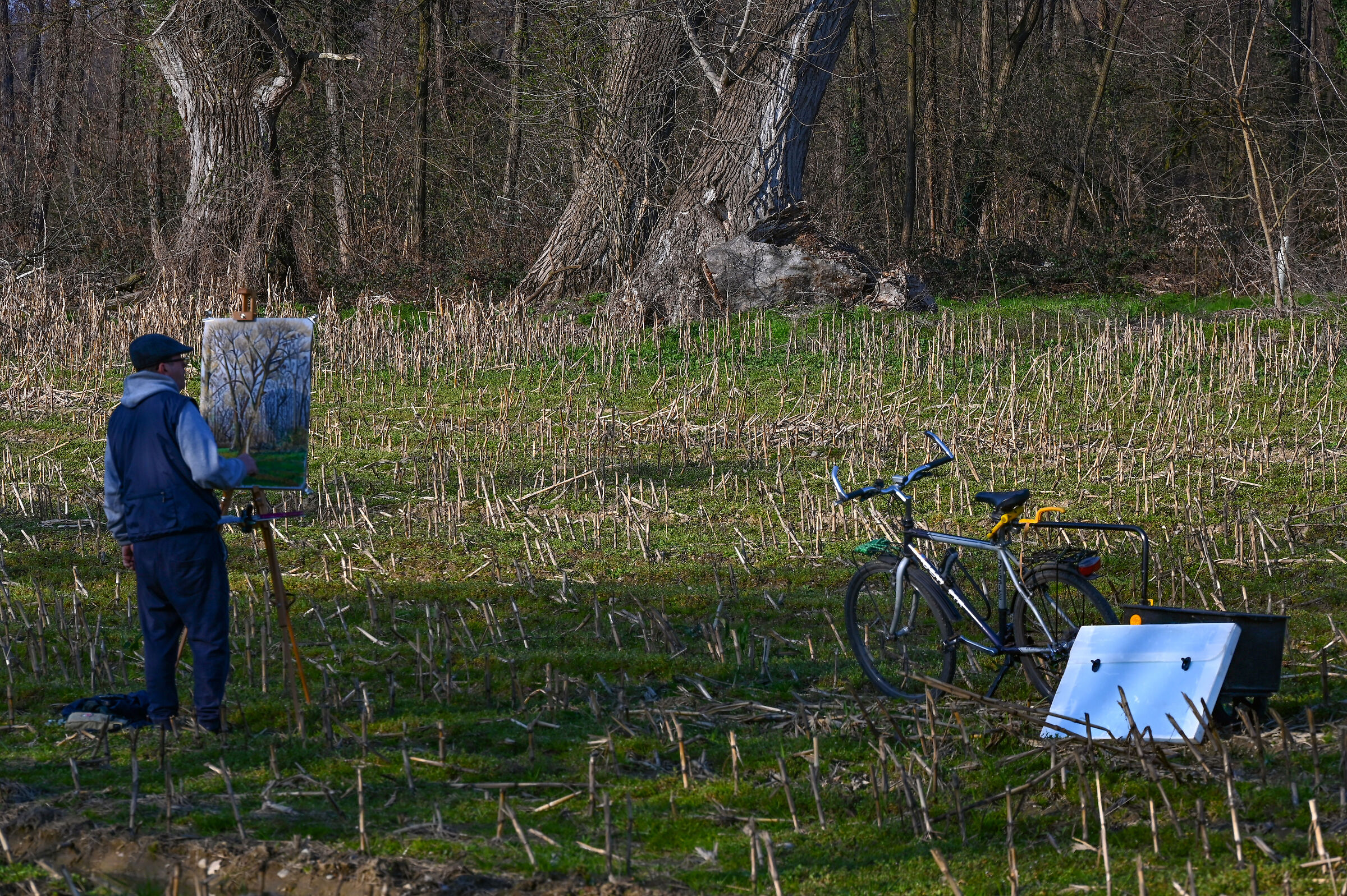 Artistic "Distancing"