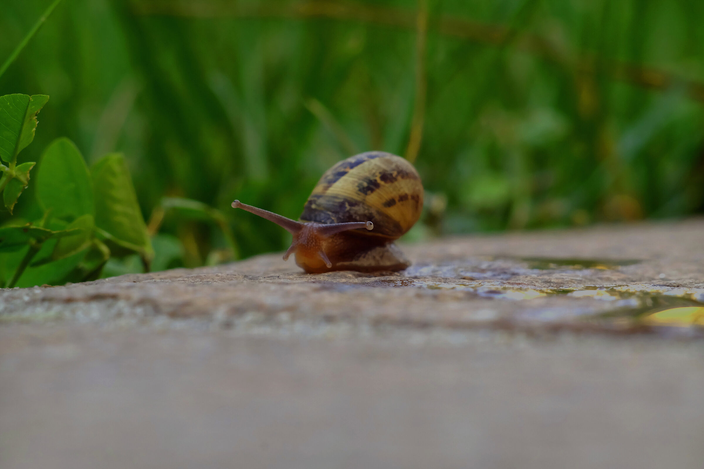 In arrivo al binario 1...