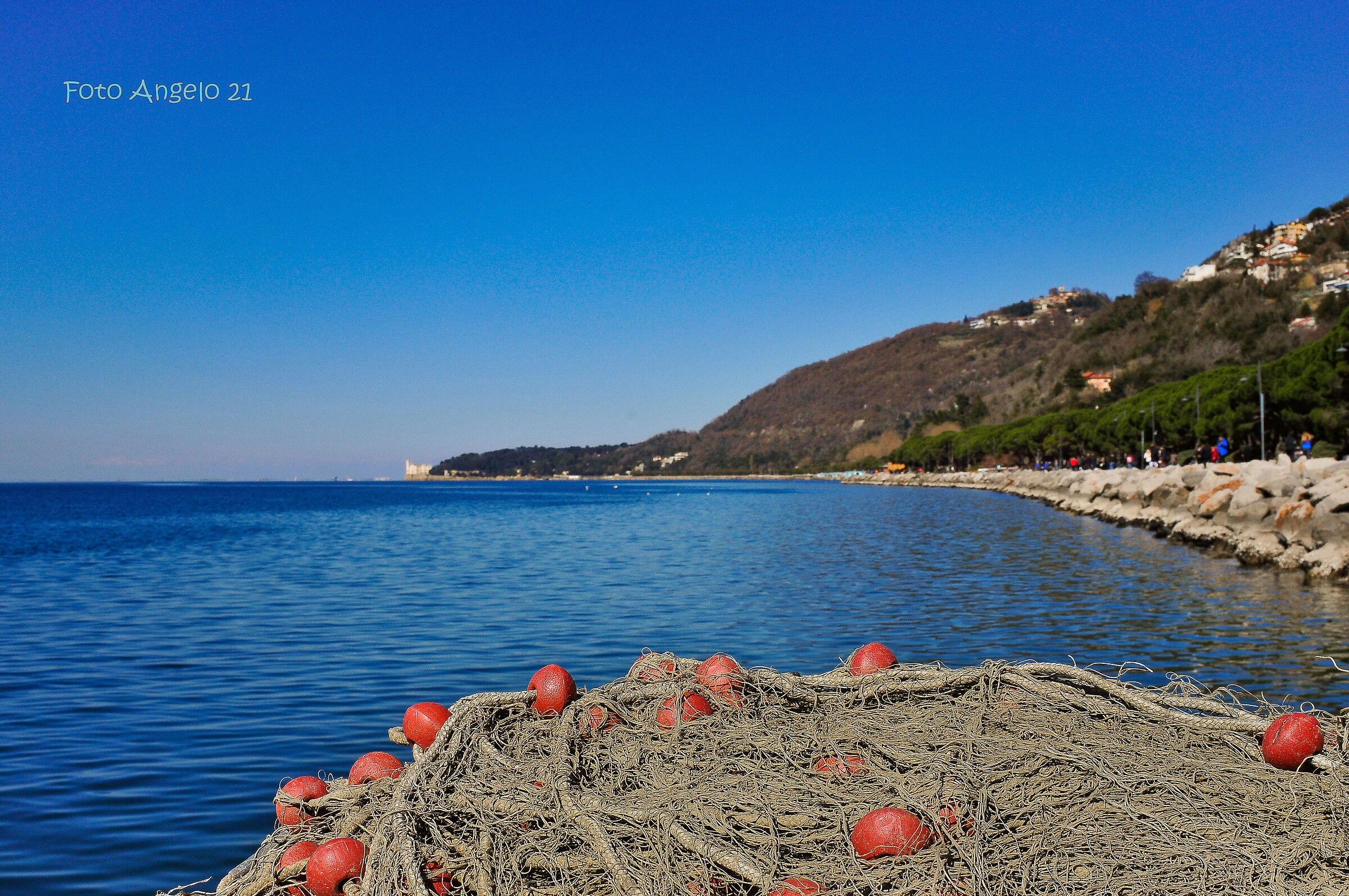 Barcola Ts