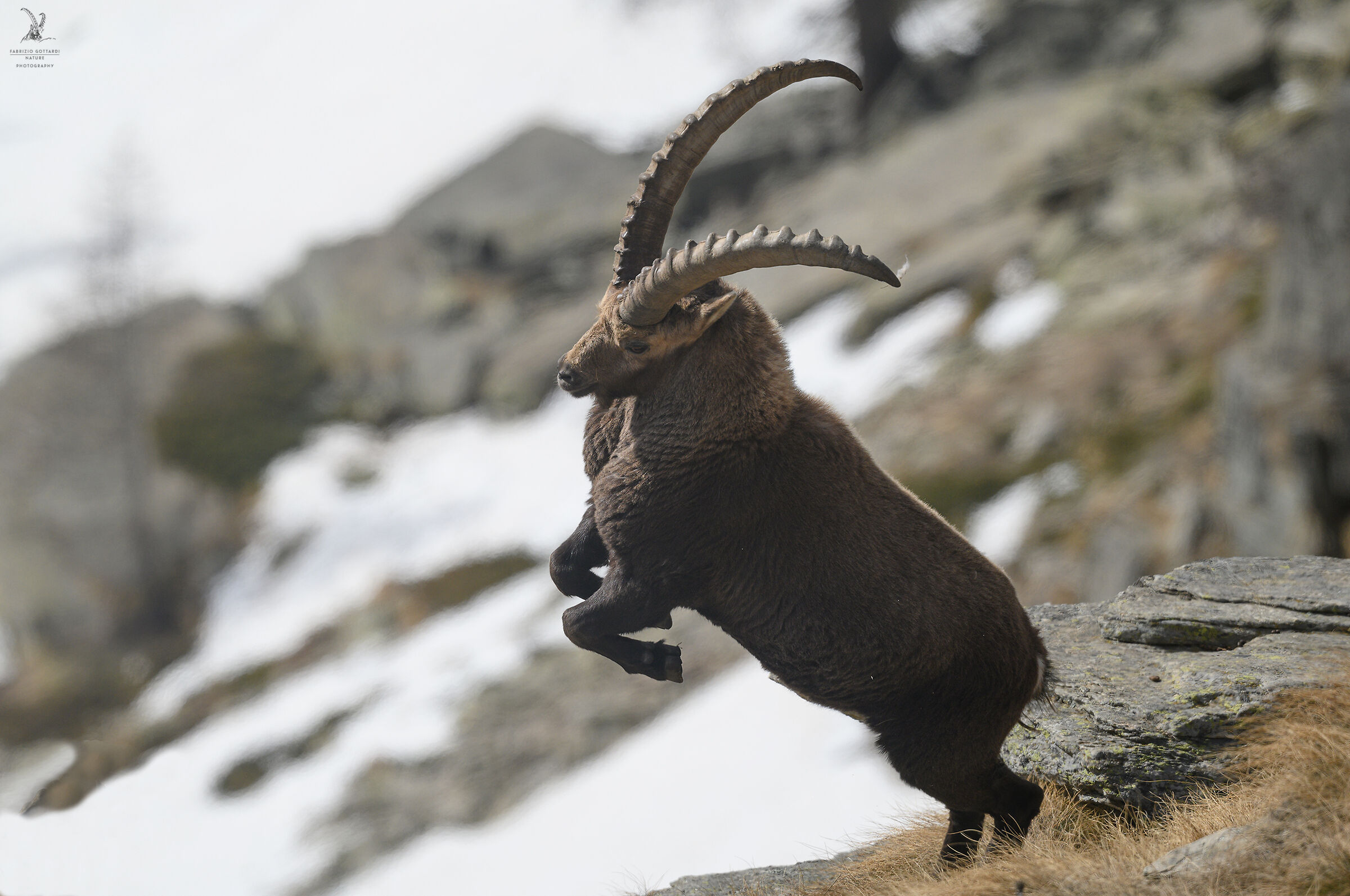 Elevation, Switzerland