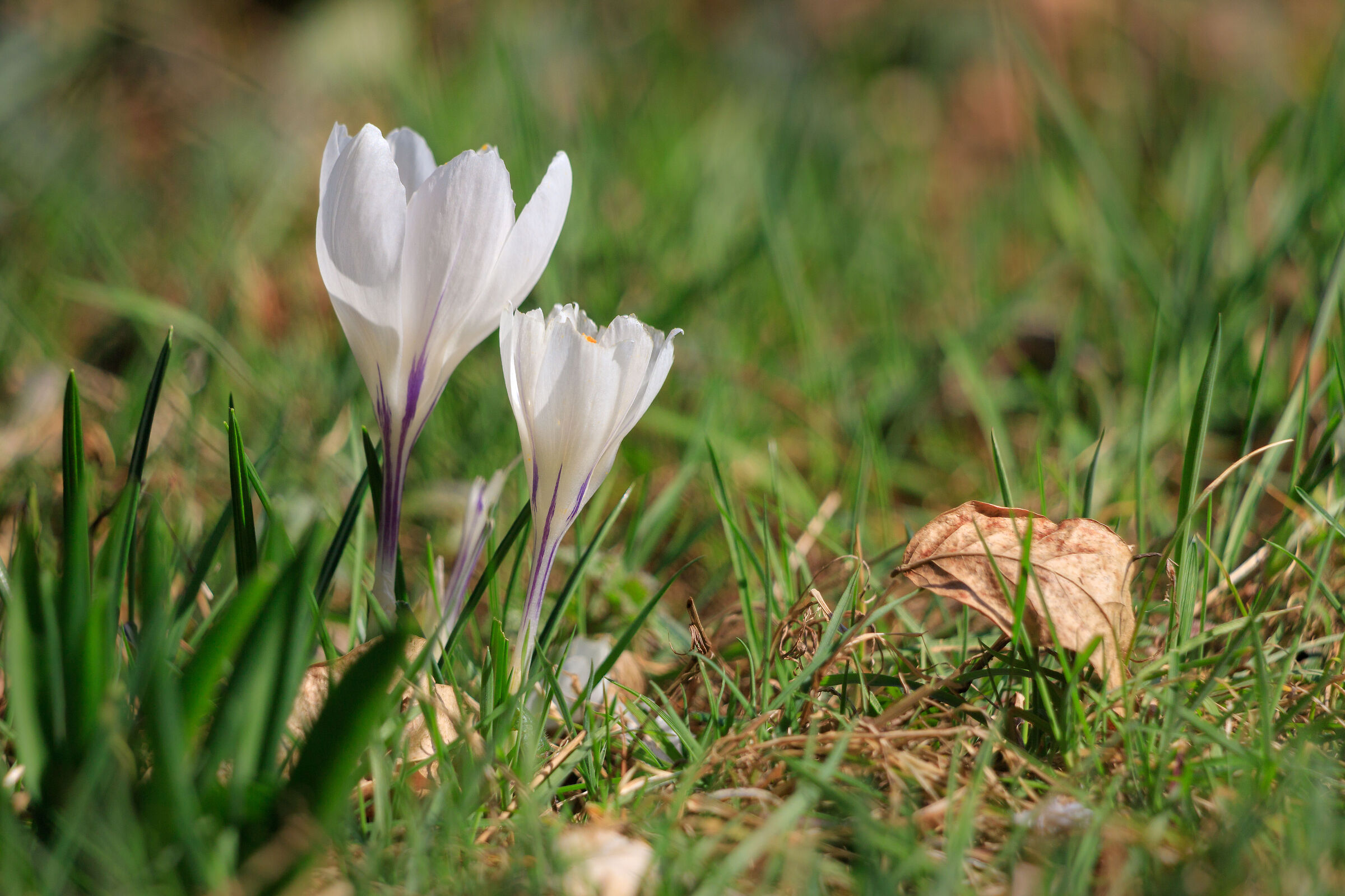 Changing of the guard