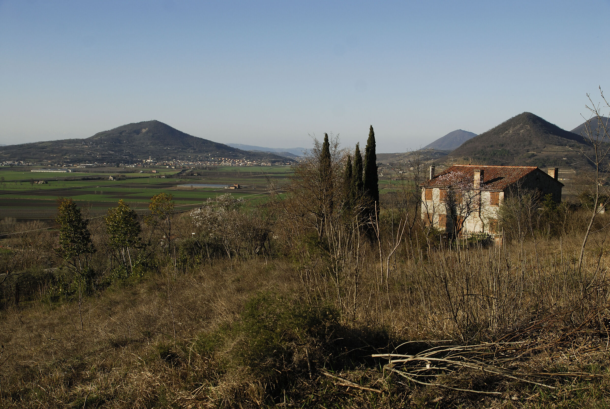 Lozzo da Rivadolmo 25mm