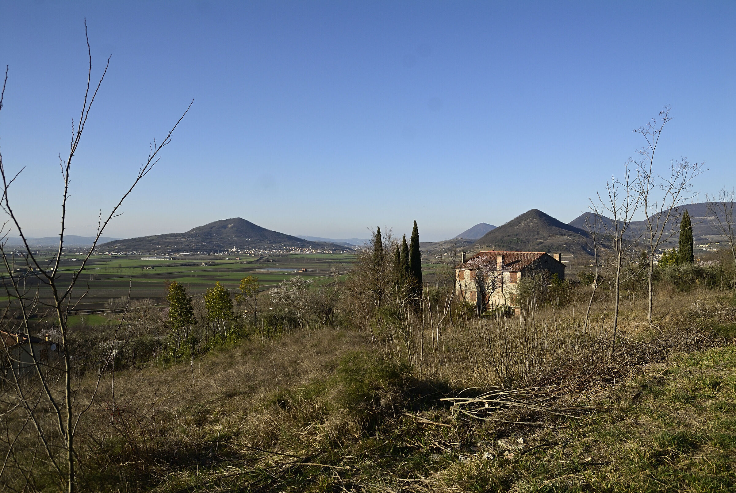 Lozzo da Rivadolmo 17mm