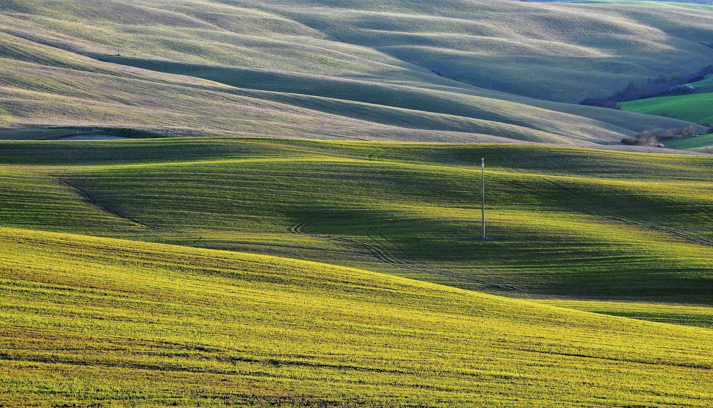 Crops