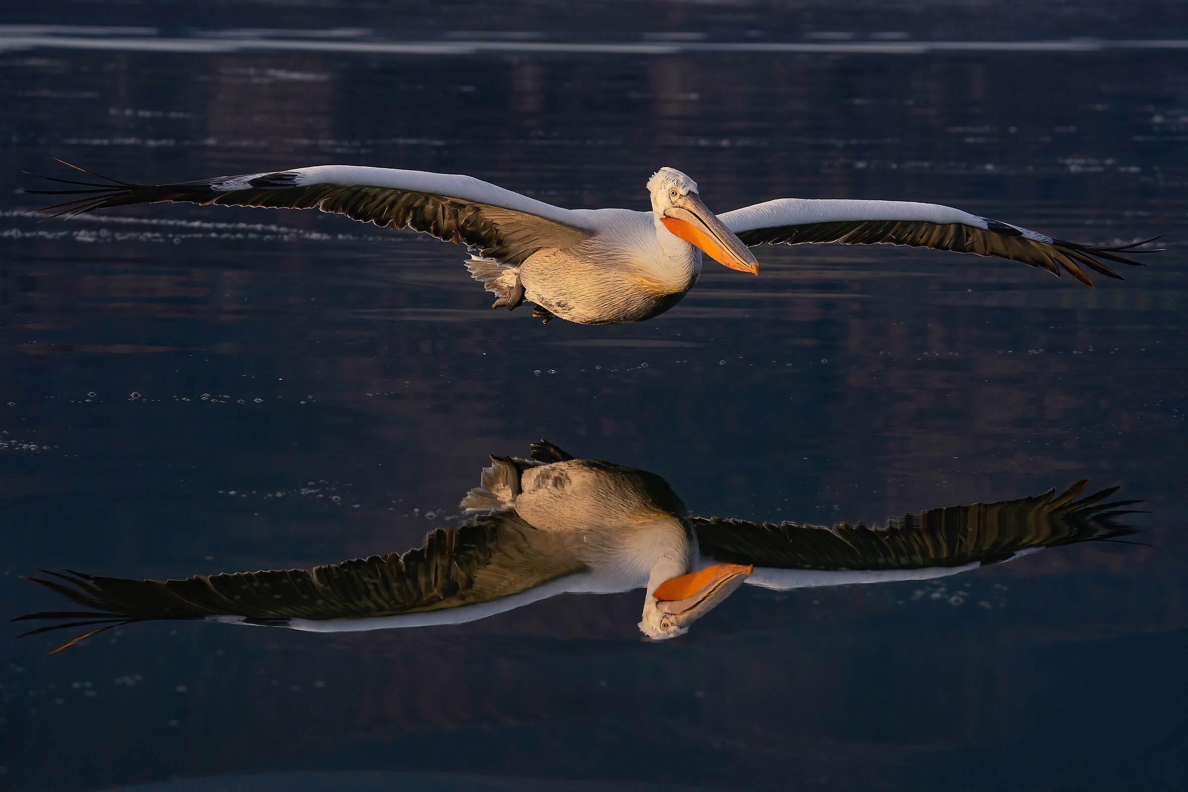 Specchiato nell'ultima luce