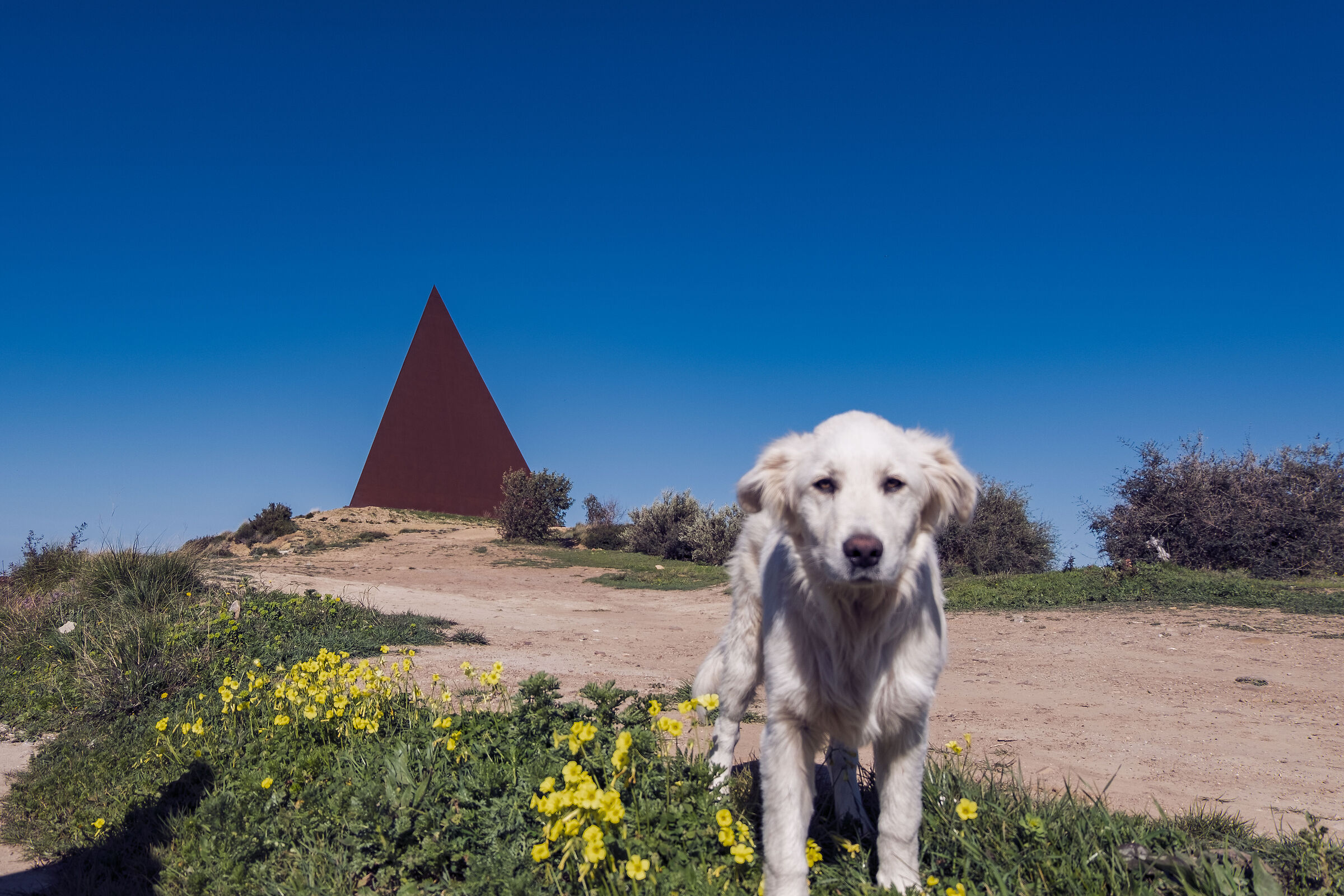 Guardian of the Pyramid