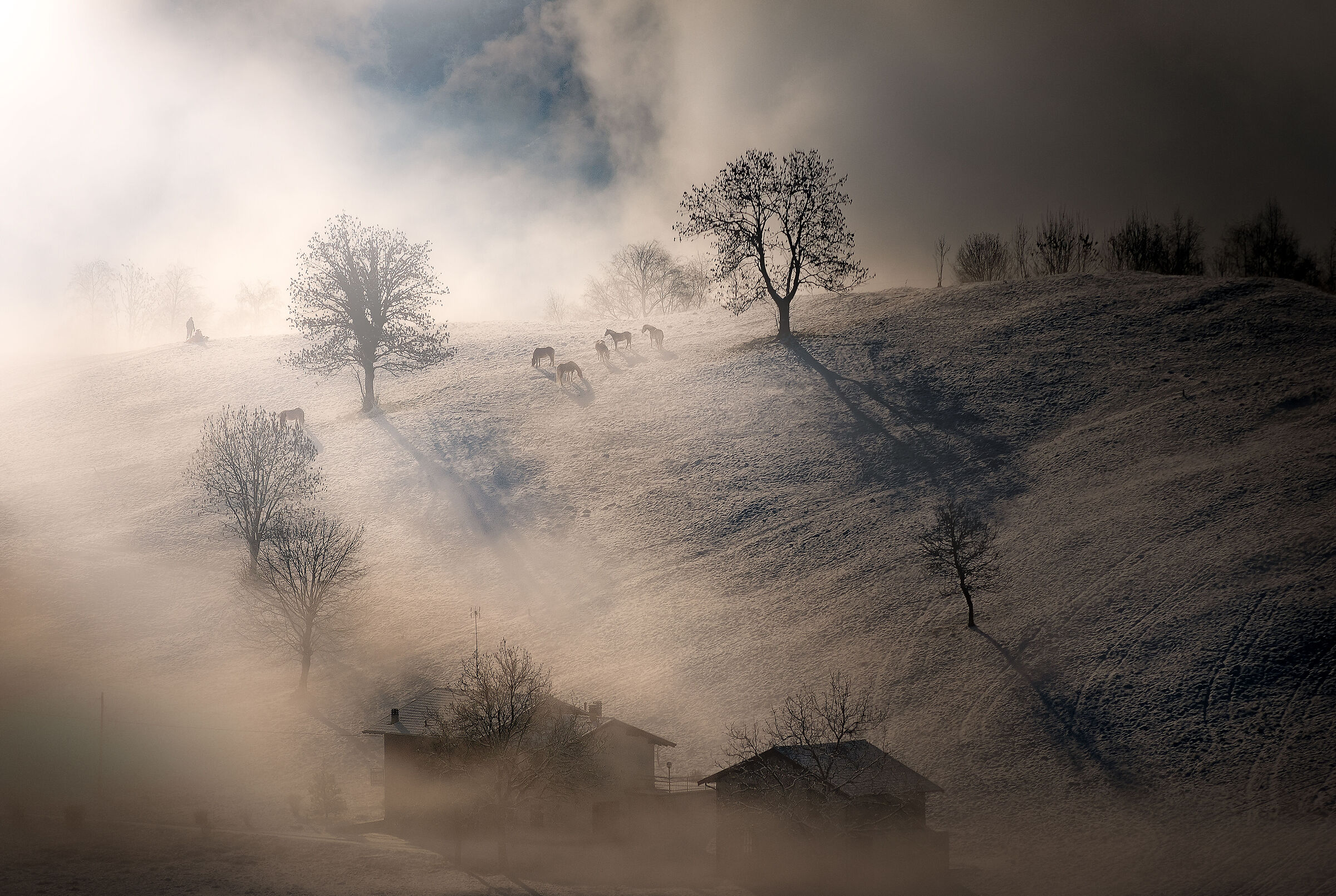 The foggy sacred circle