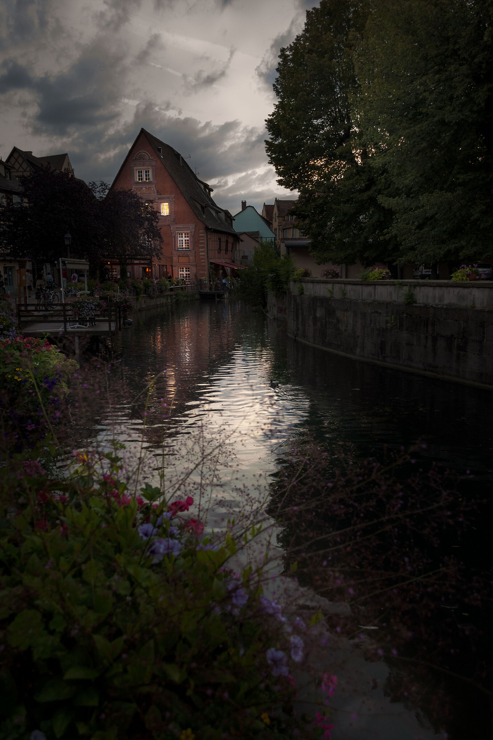 Colmar light
