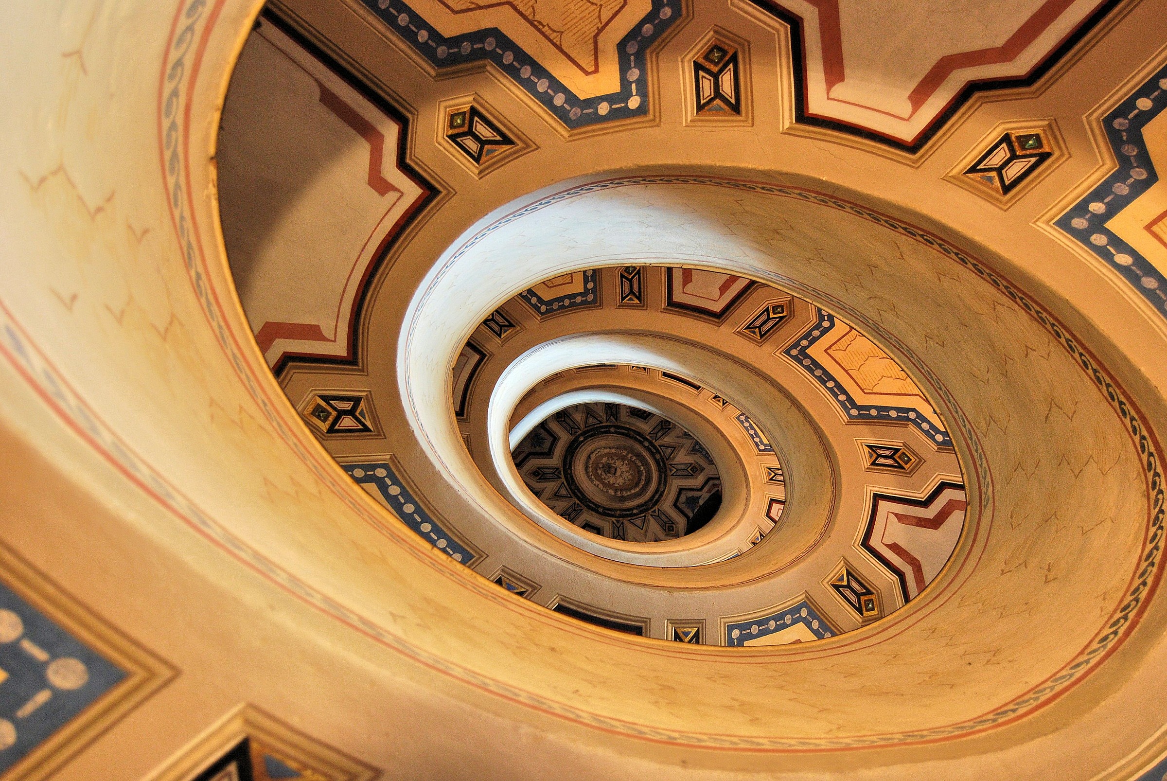 the snail Barozzi (1)