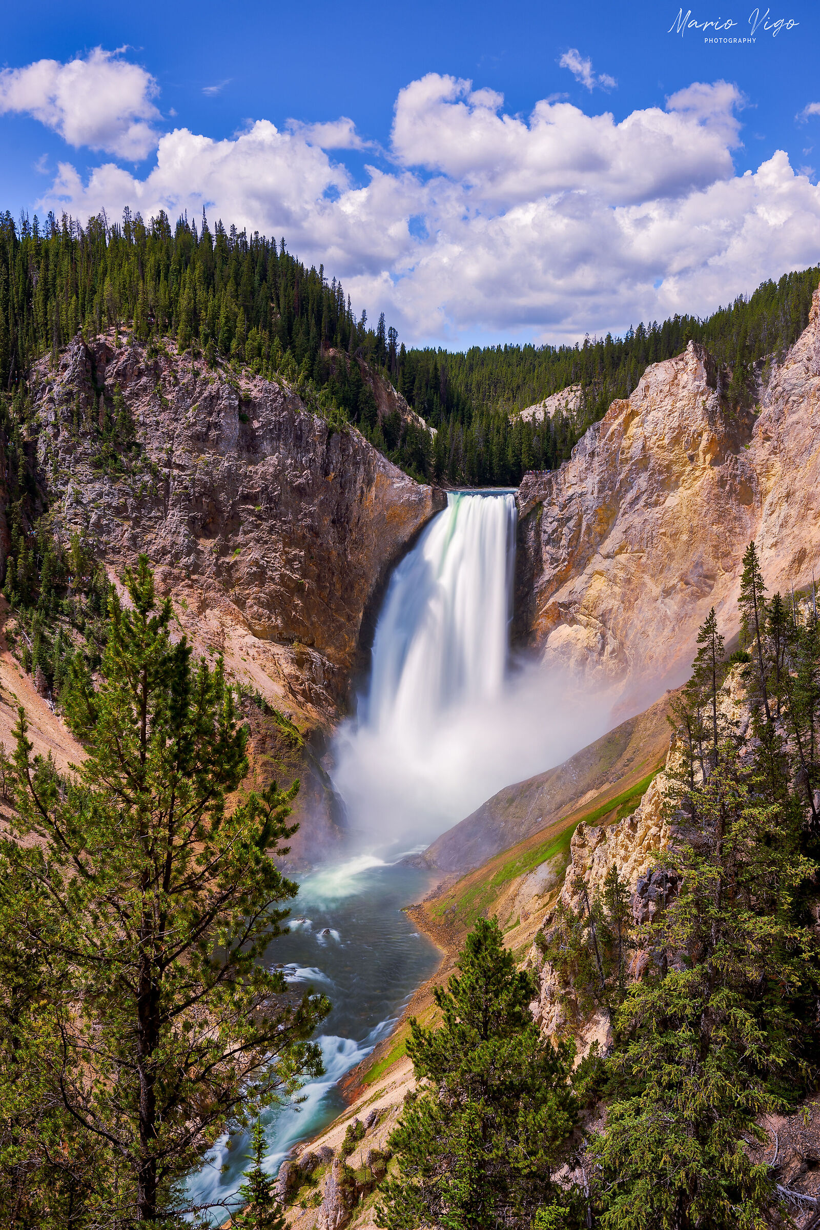 Lower Yellowstone Falls