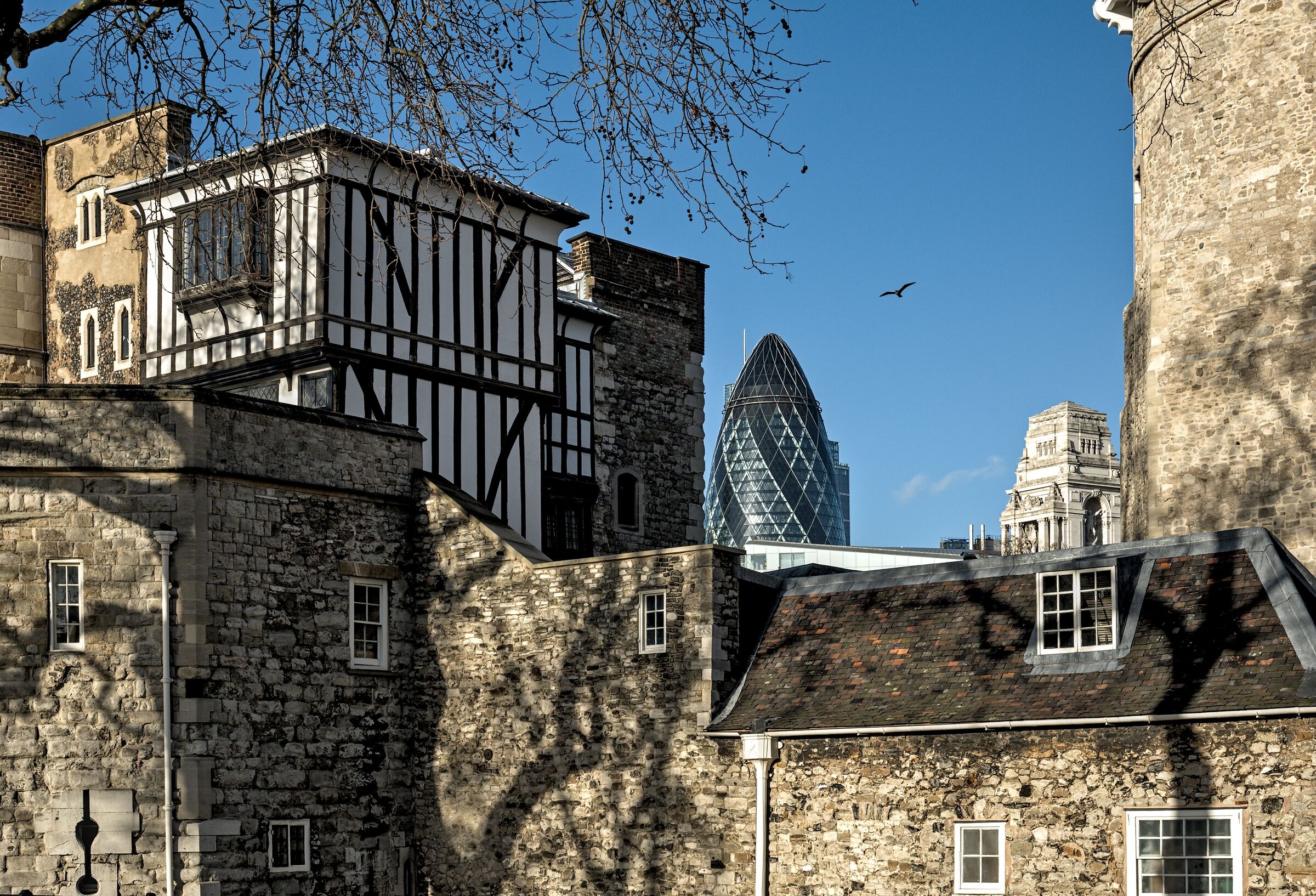 La Torre e la Supposta