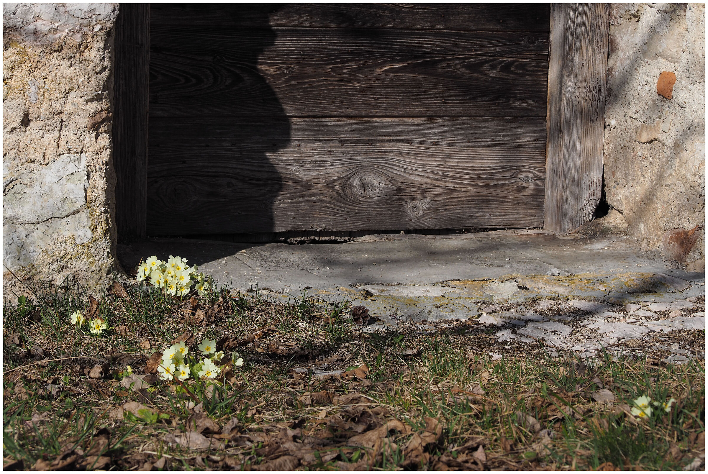 primavera sulla porta