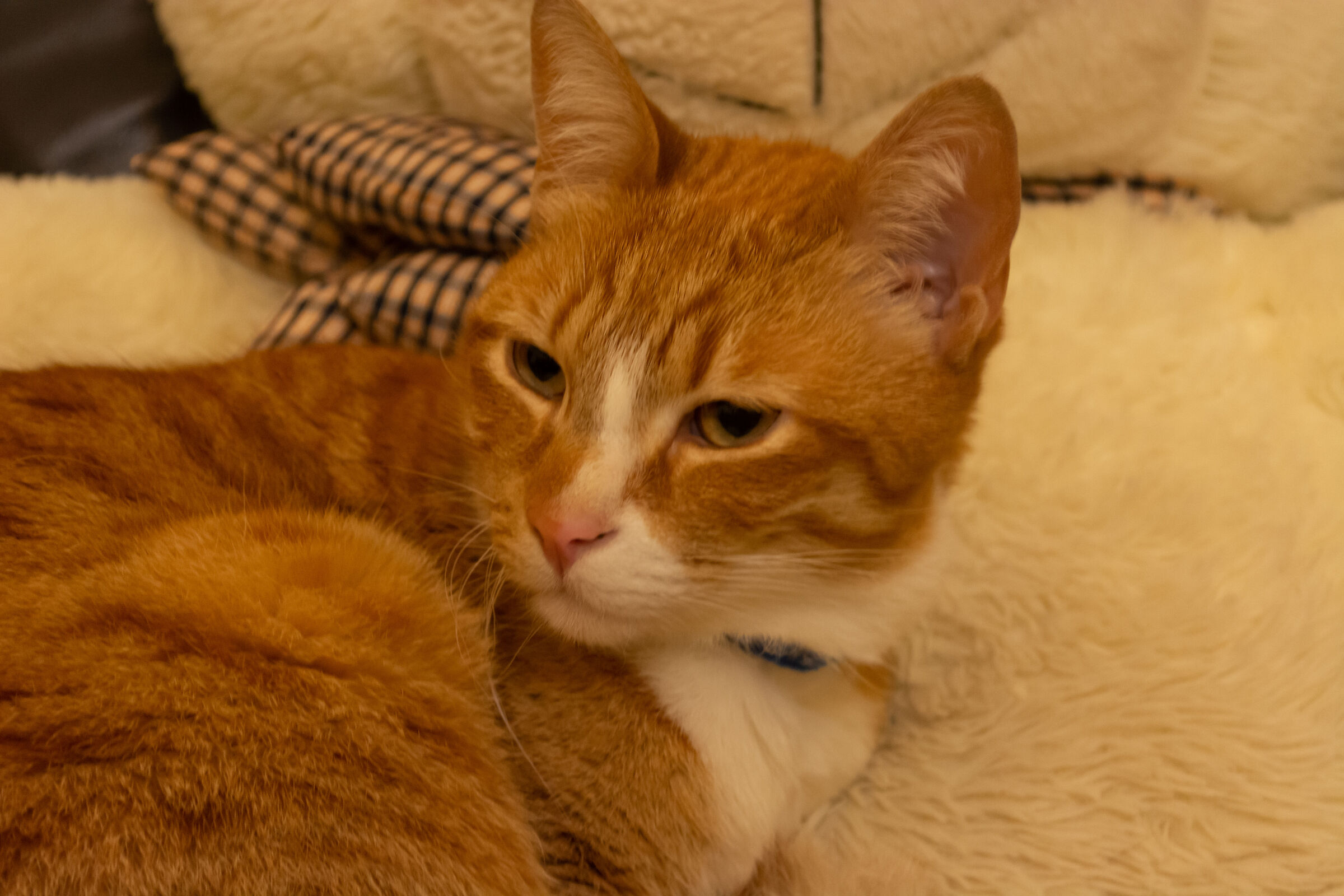 What bore boreness....