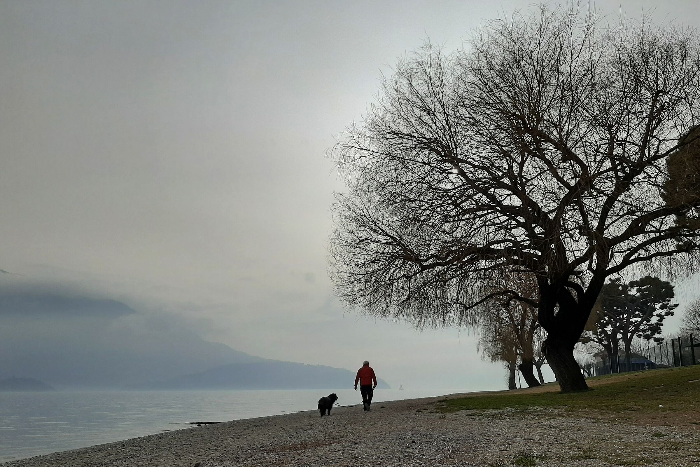 Alto lago : passeggiata invernale