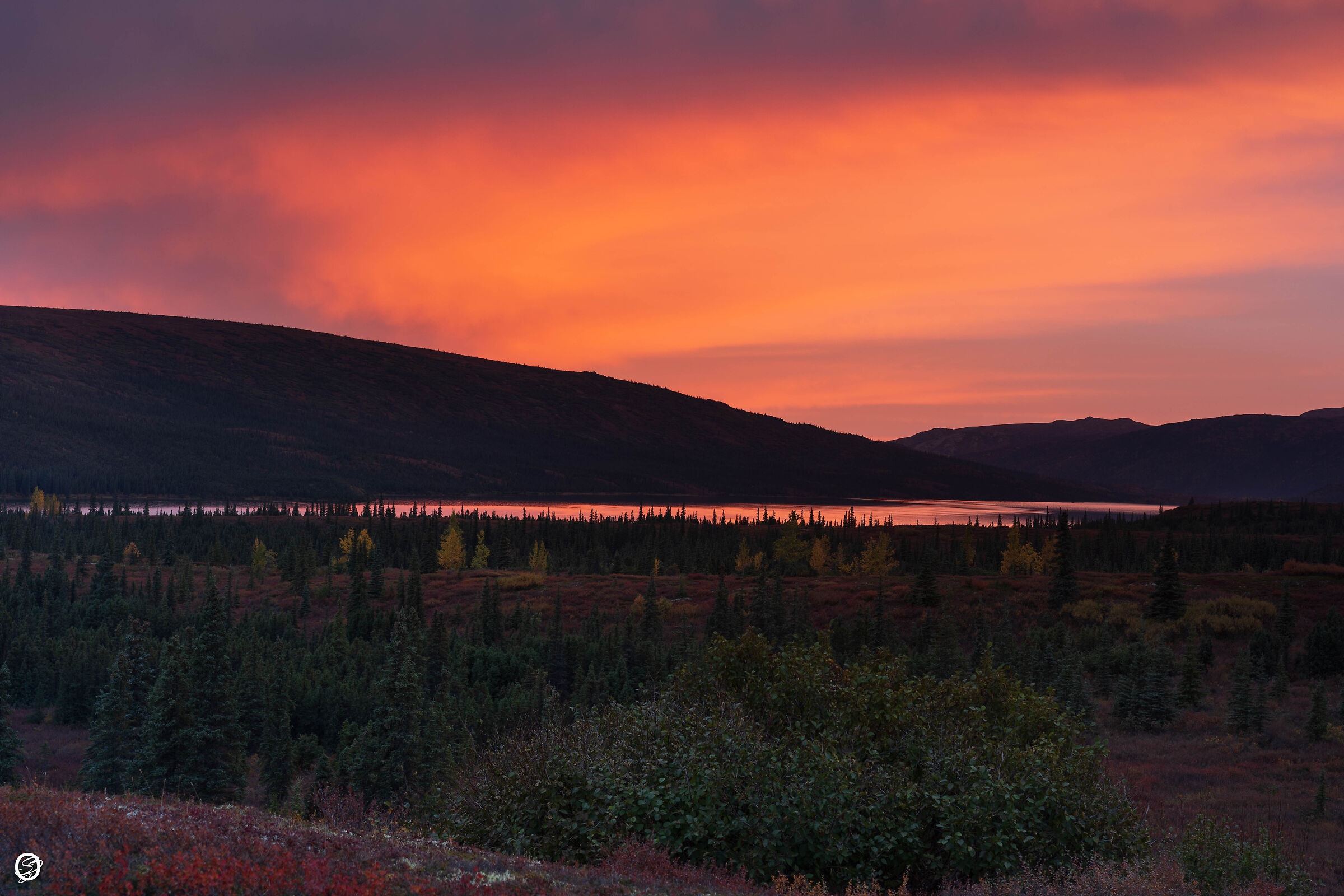 Red sunrise at Wonder Lake