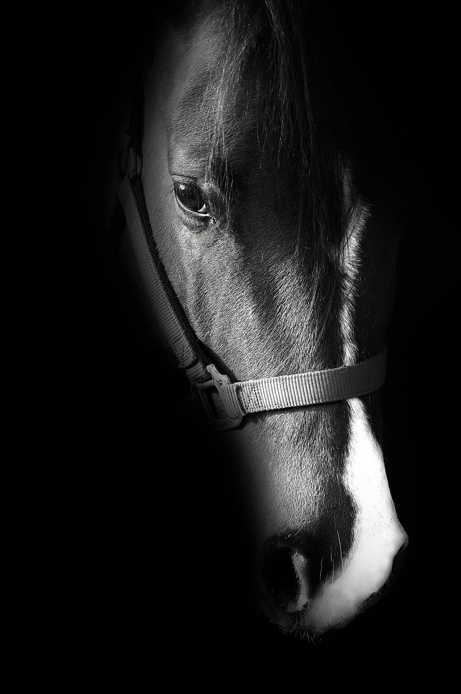 .... into the dark ...