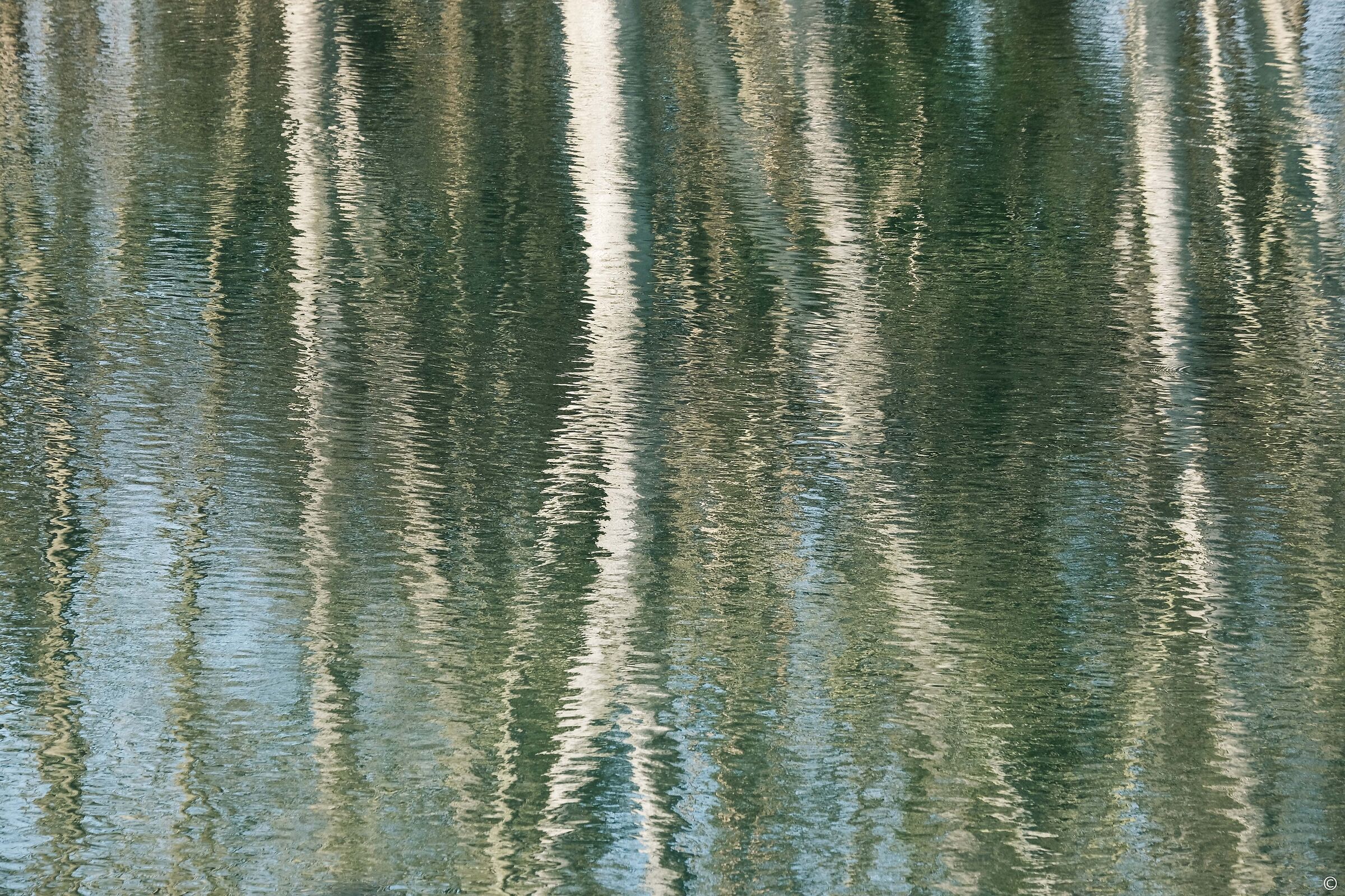 Nature in the Mirror