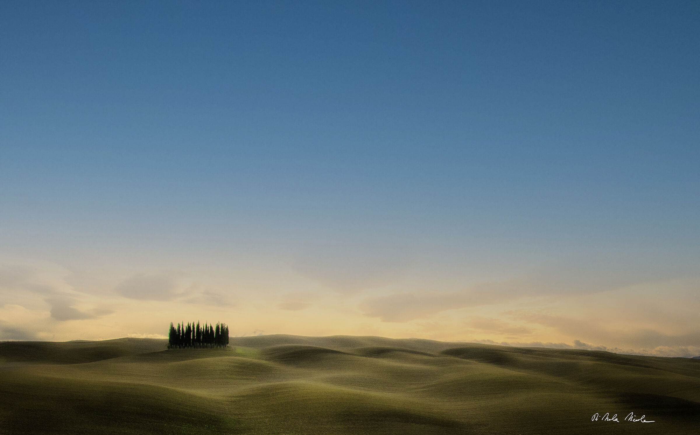 Il boschetto di cipressi