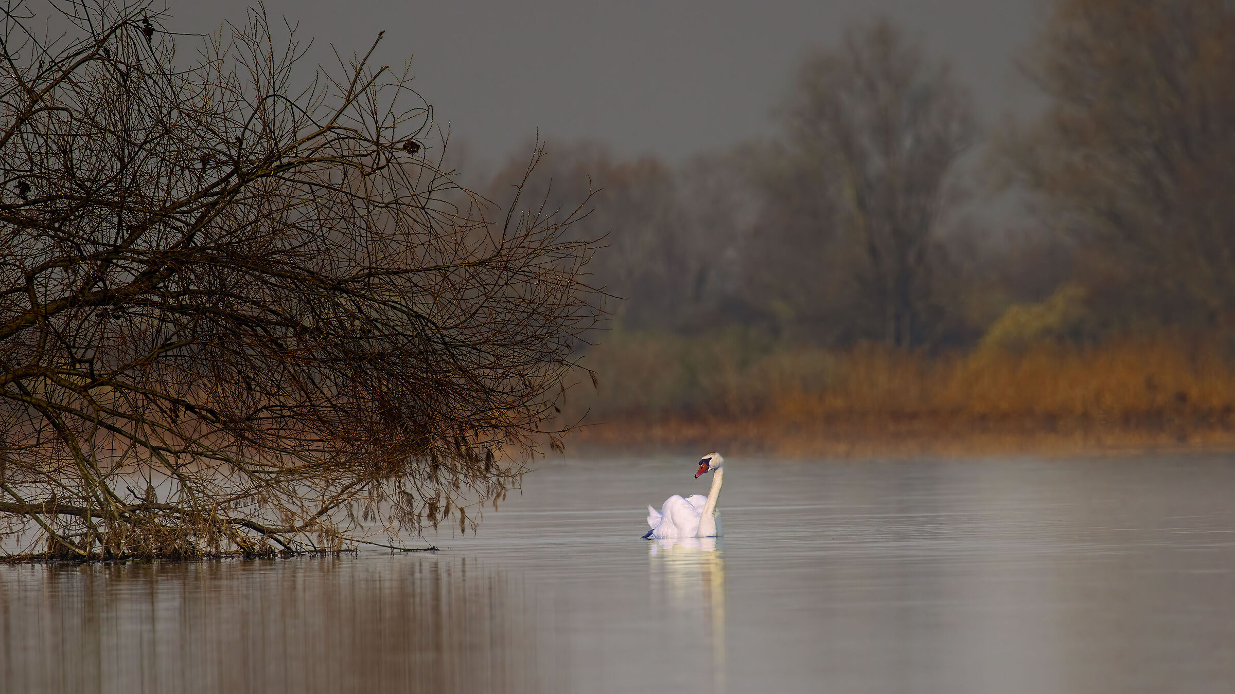 Incontri nel Parco del Mincio (mn)