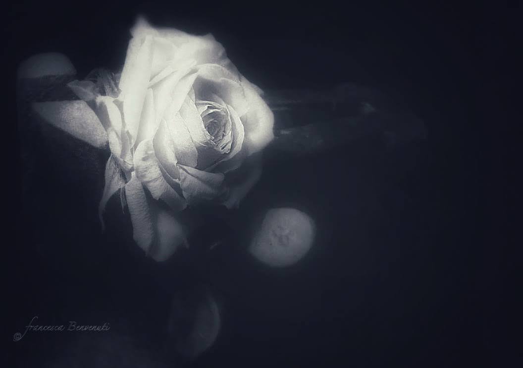 My Black and White Emotions