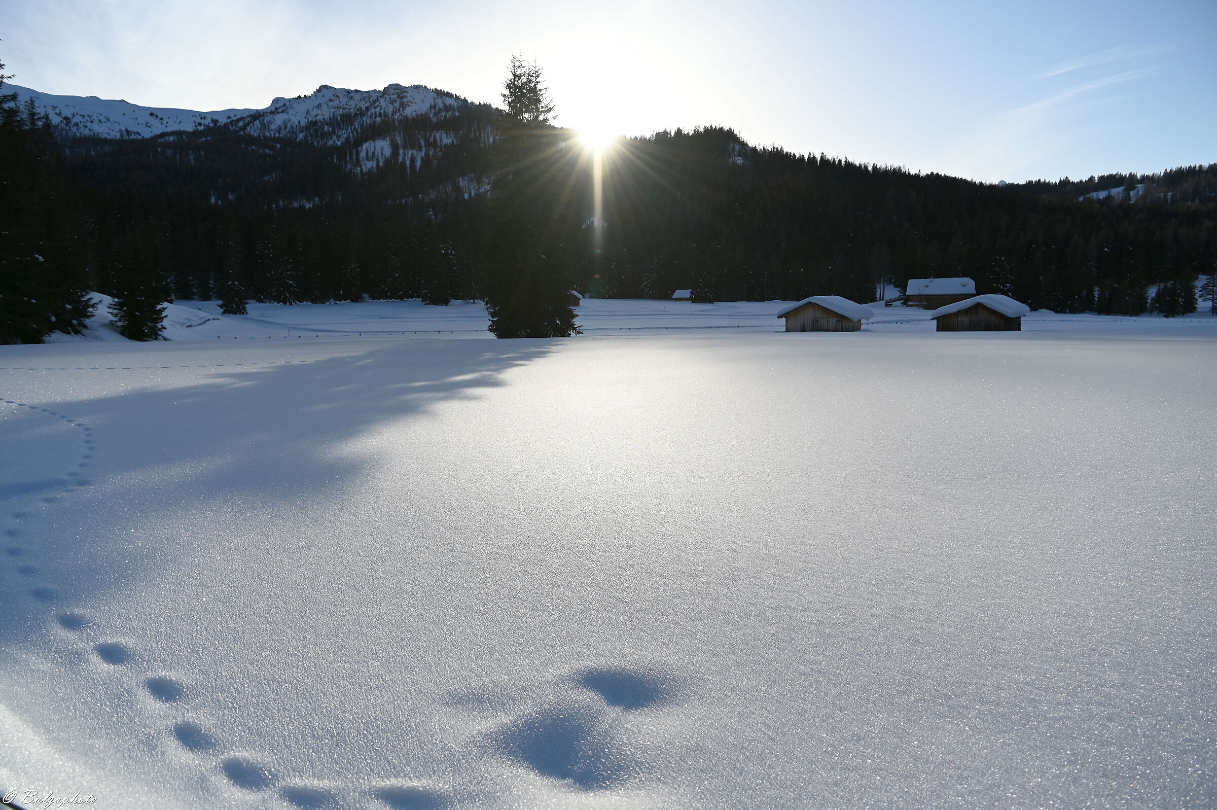 San Cassiano Armentarola Cross country