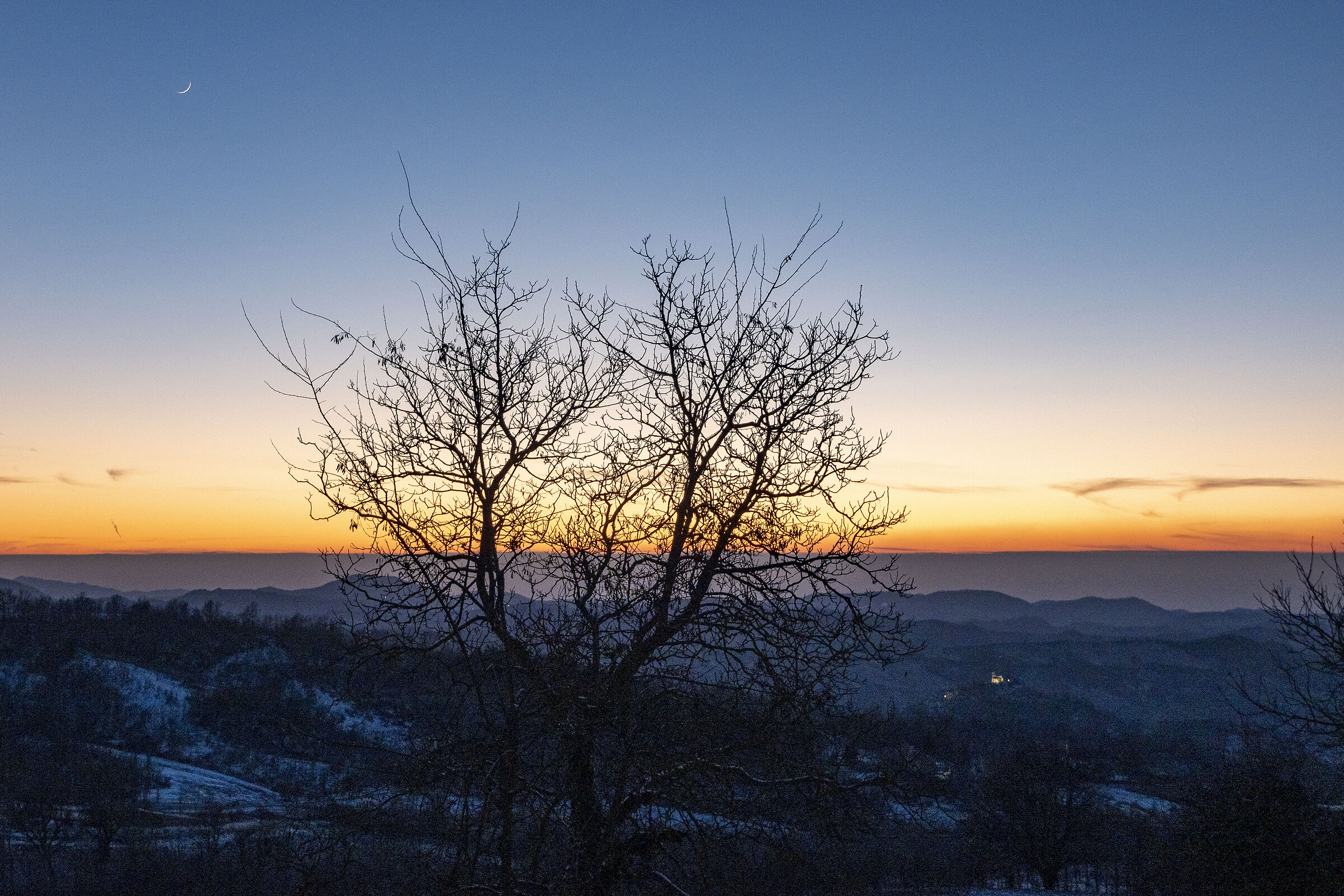 Moon - The First Sickle