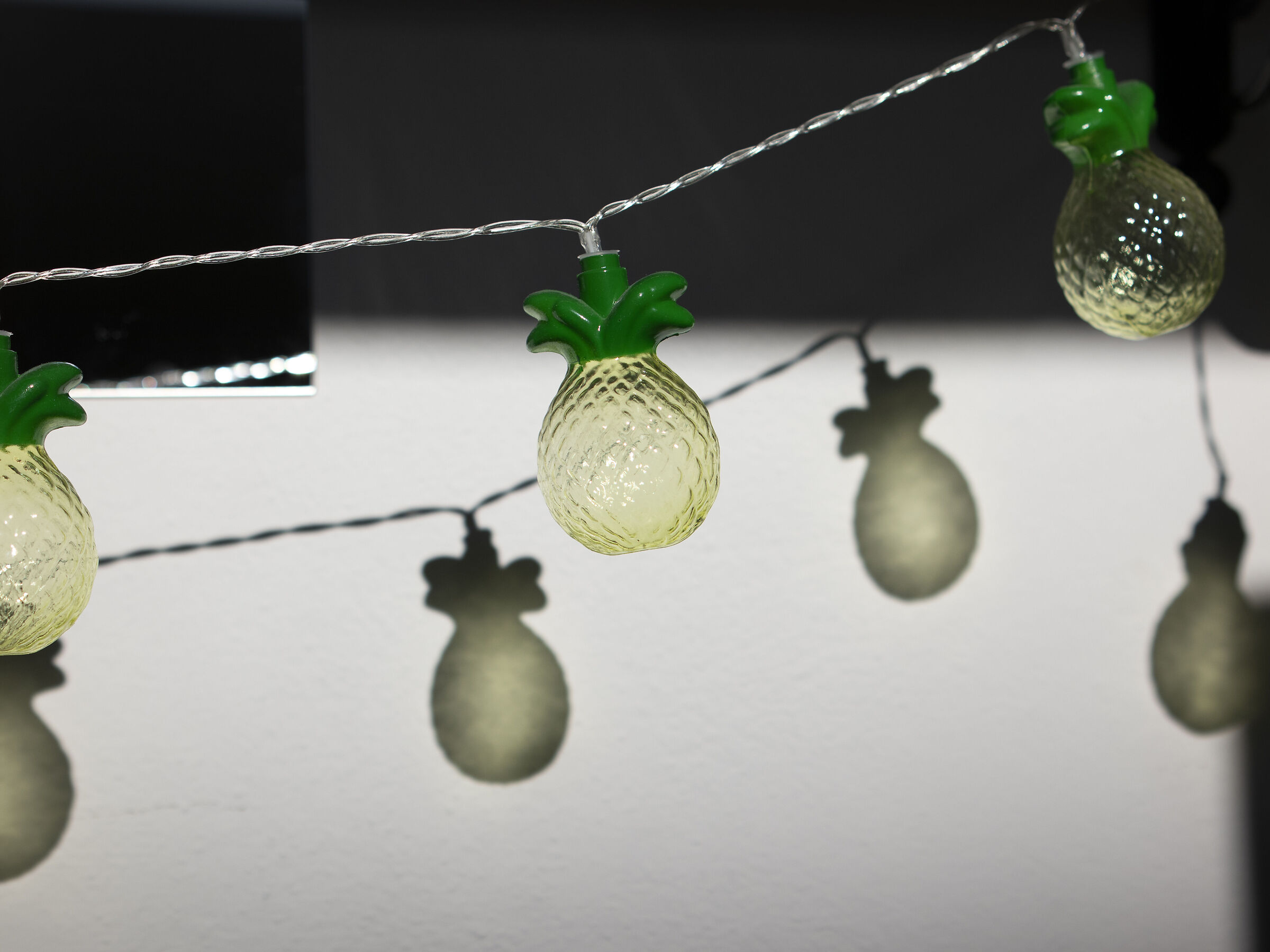 Foto prova con fotocamera al dritto.