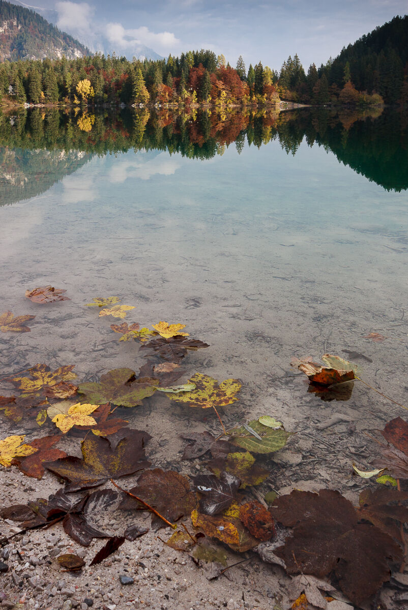 The ephemeral beauty ...