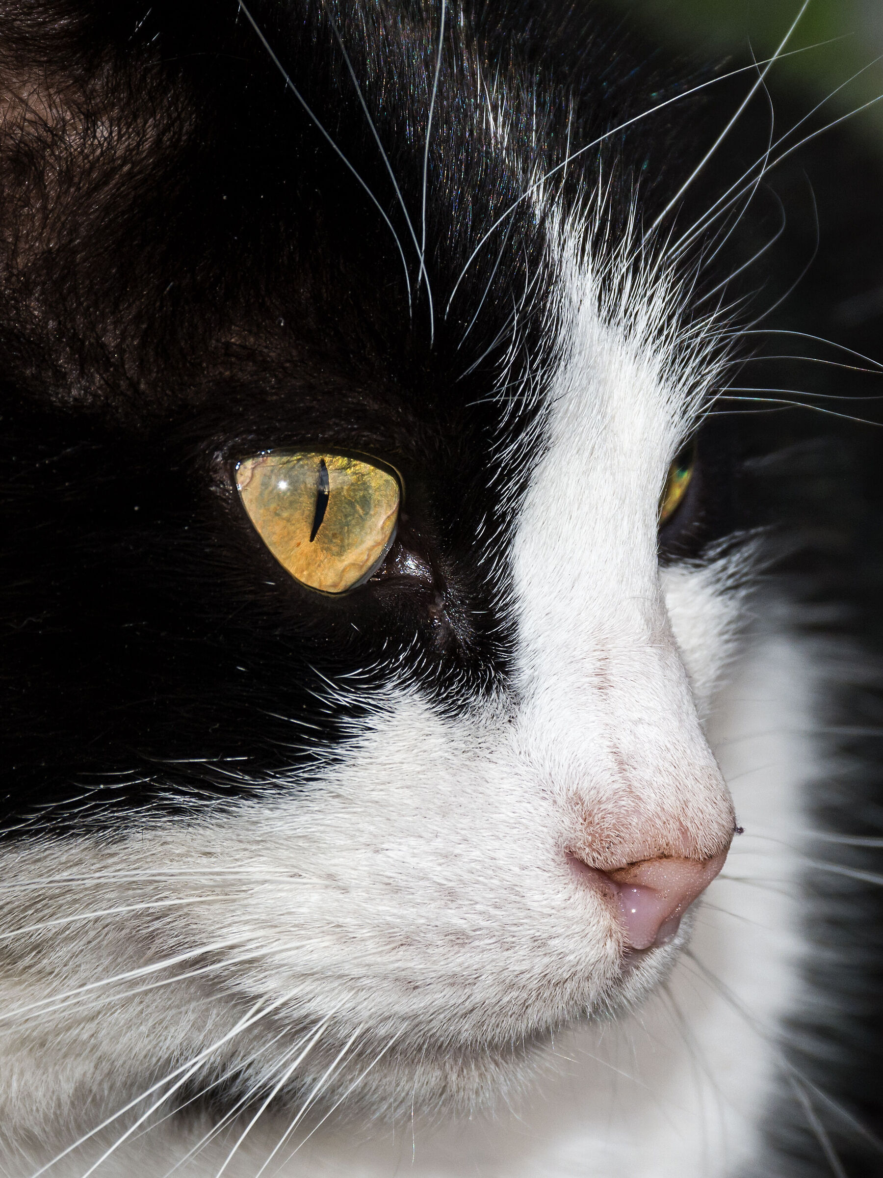 Di profilo vengo meglio