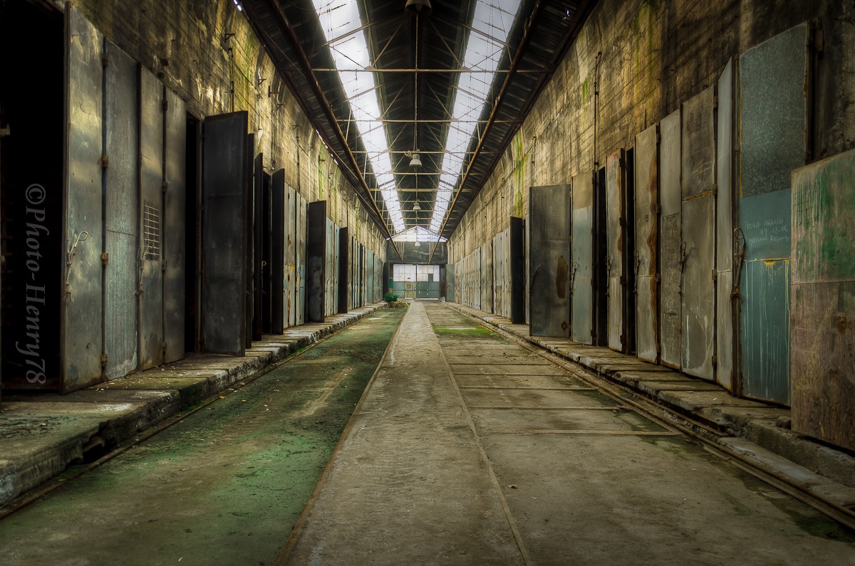 The Chainsaw Massacre