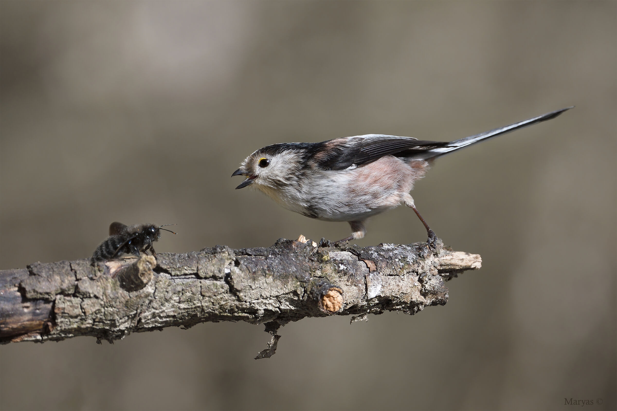 Special conversations