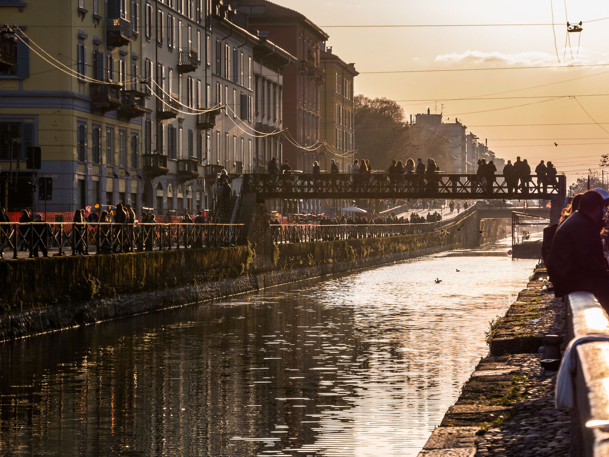 Navigli from Milan