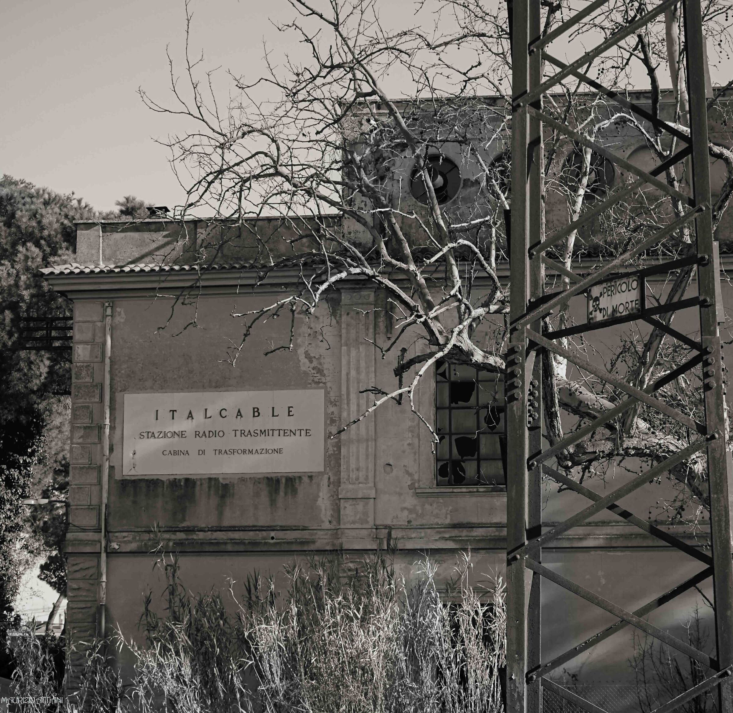 2) Italcable particolare