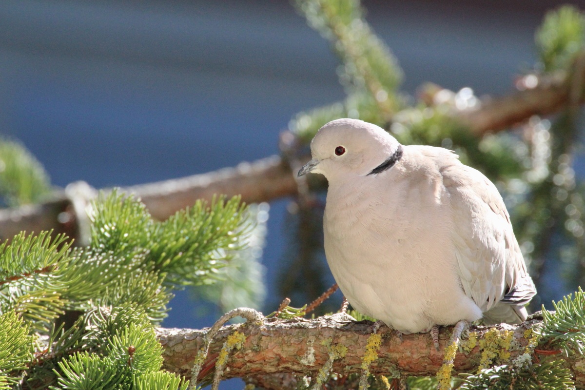 Under the winter sun