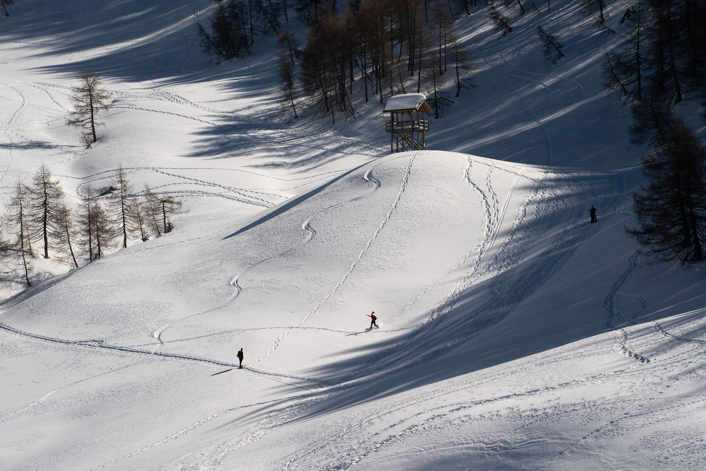 giochi di linee sulla neve