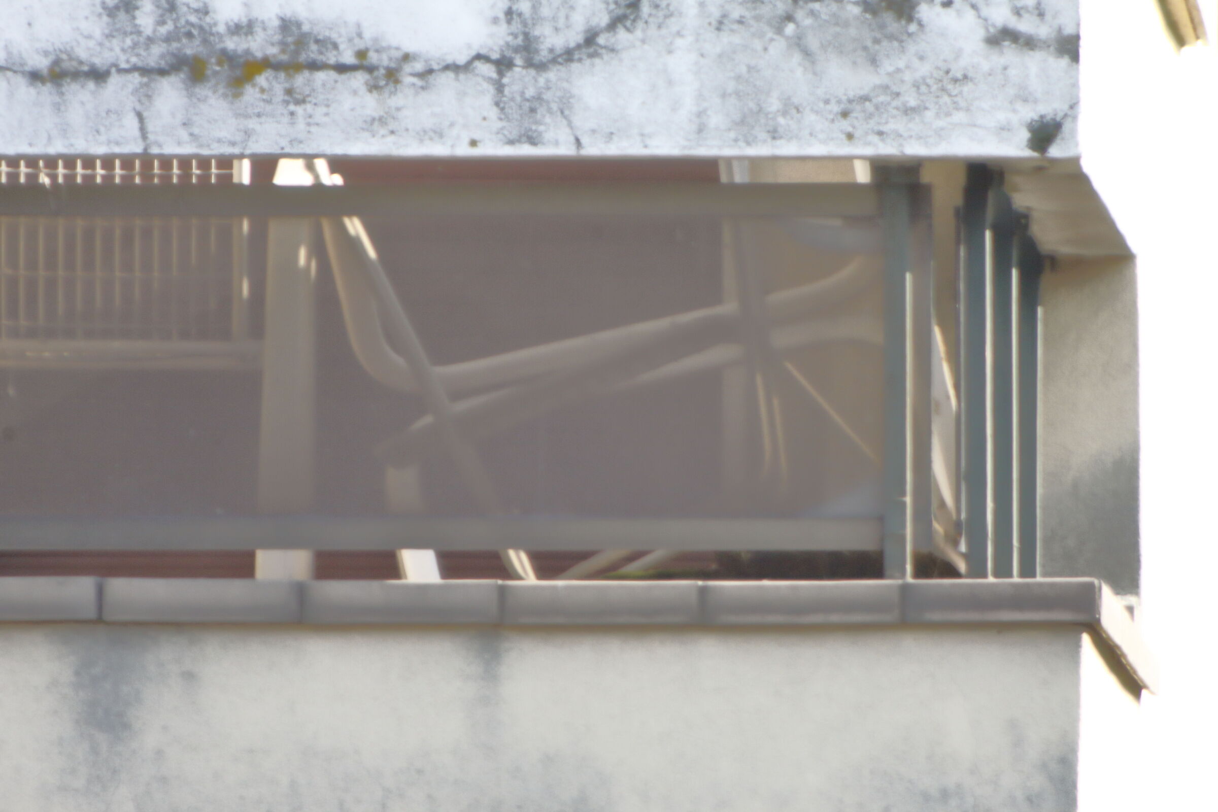 test Exakta 650-1300 f8-16