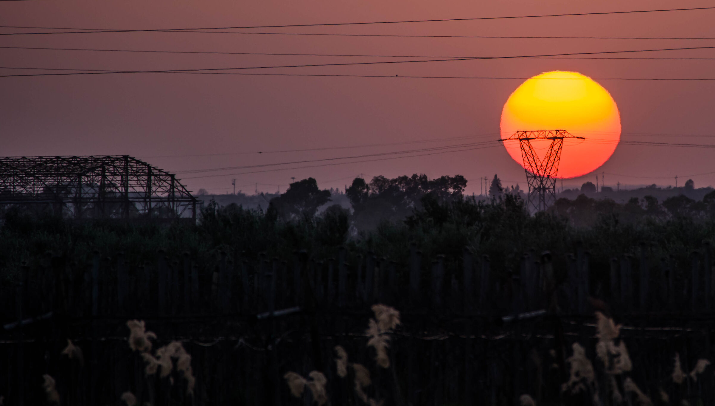 sunset