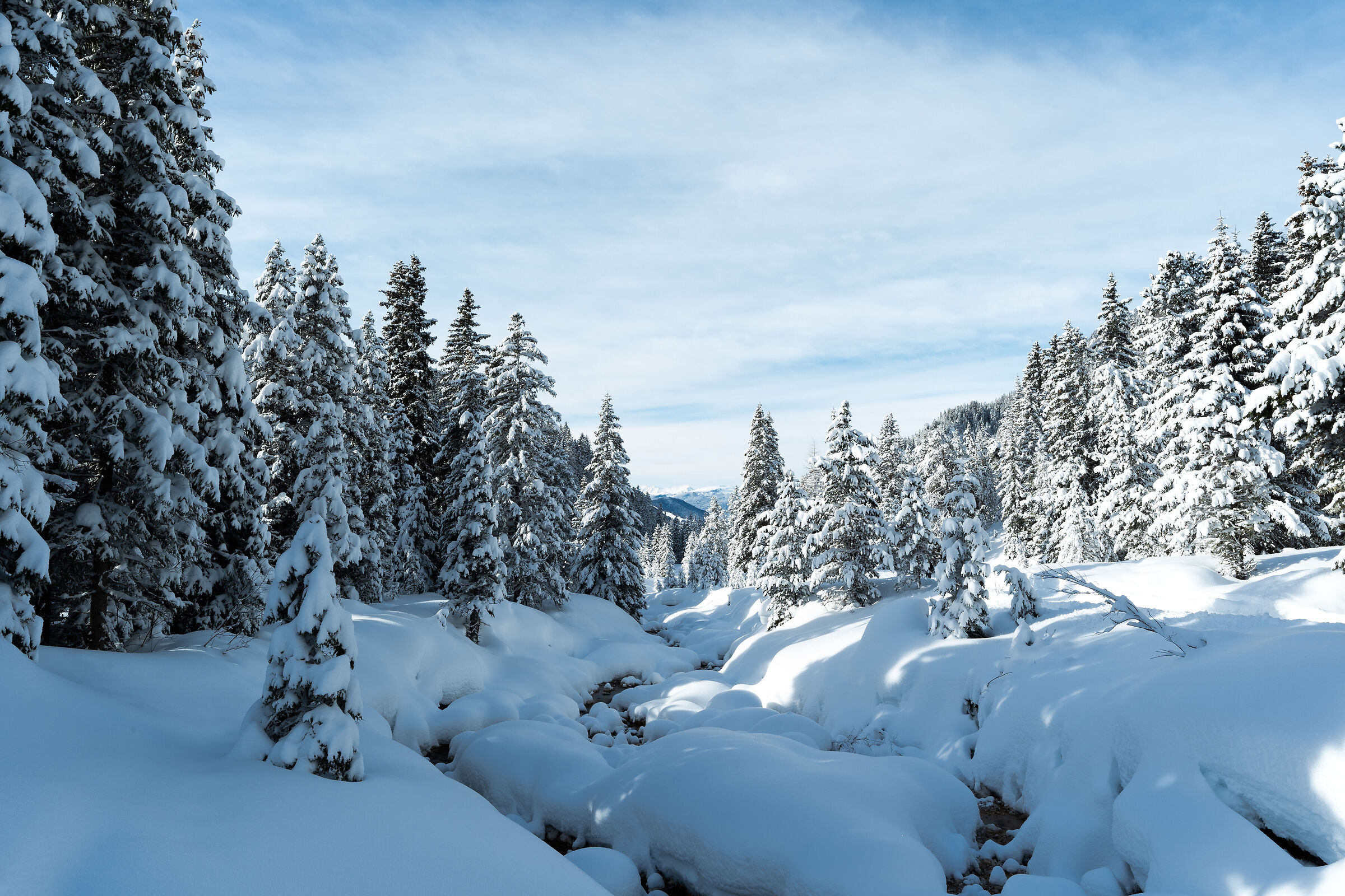 Winterwonderland, 20