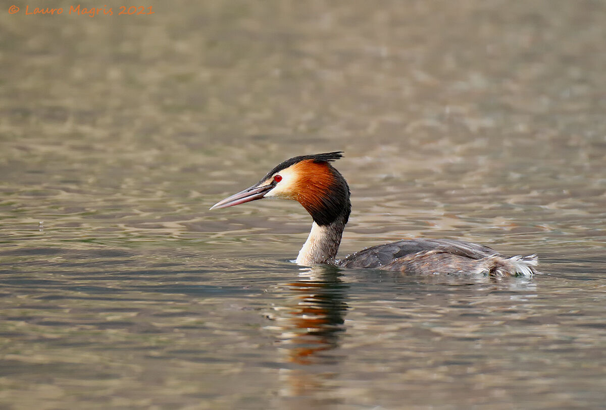 Traversata solitaria