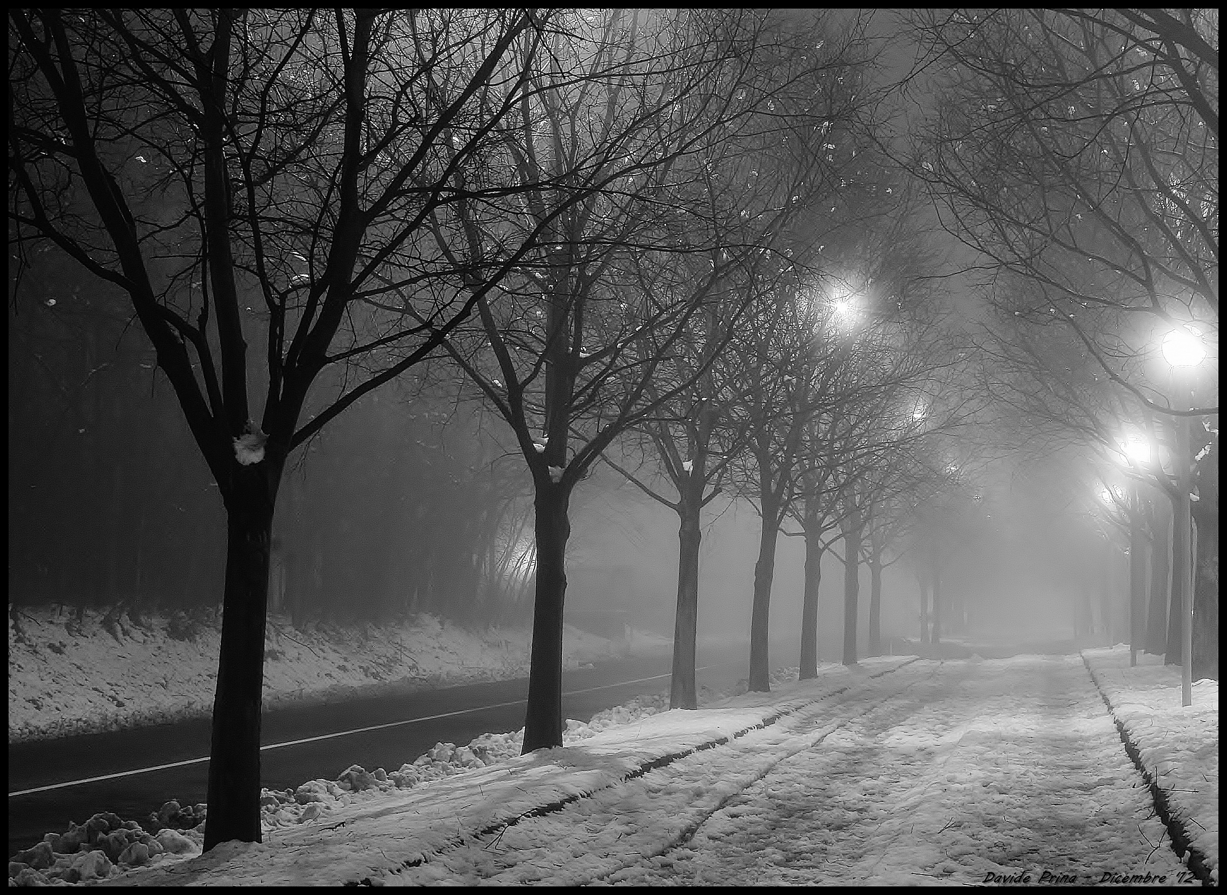 Viale foggy
