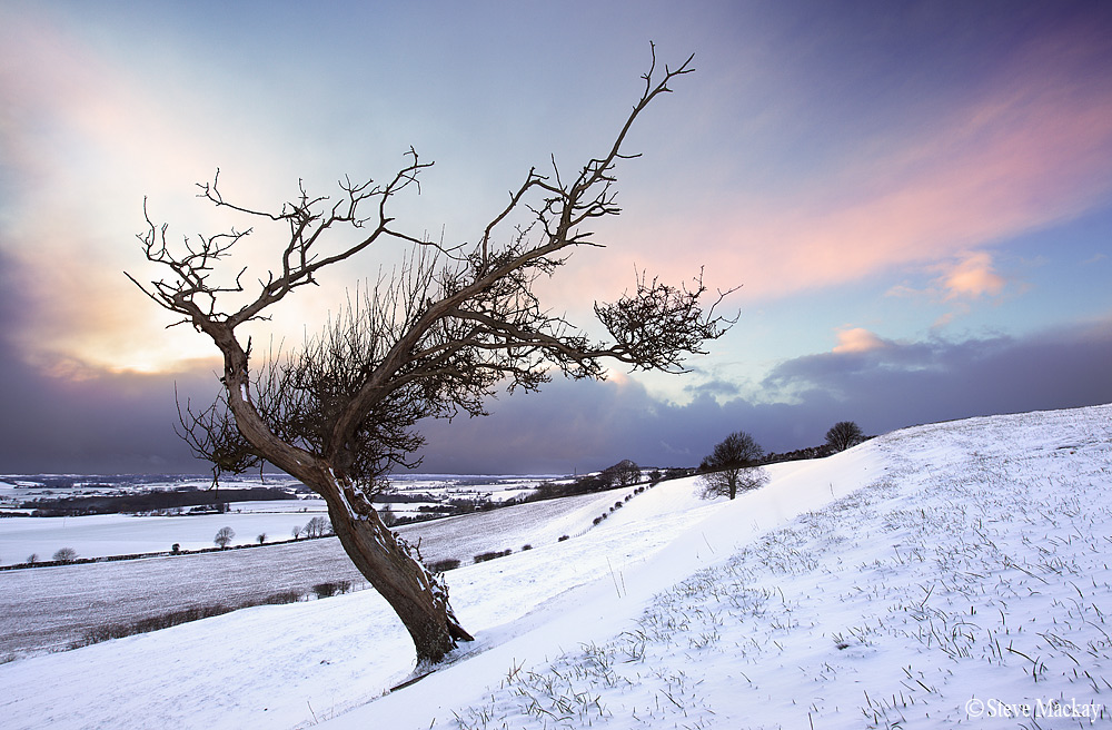 Winter on the North Downs