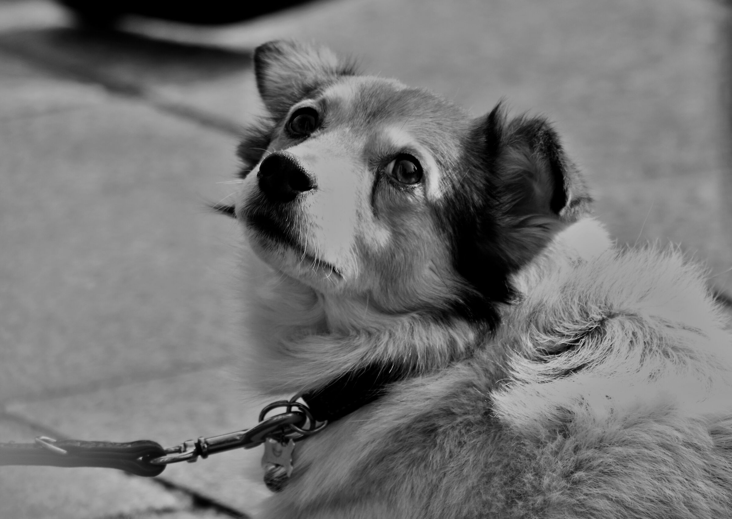 I'm listening to you...