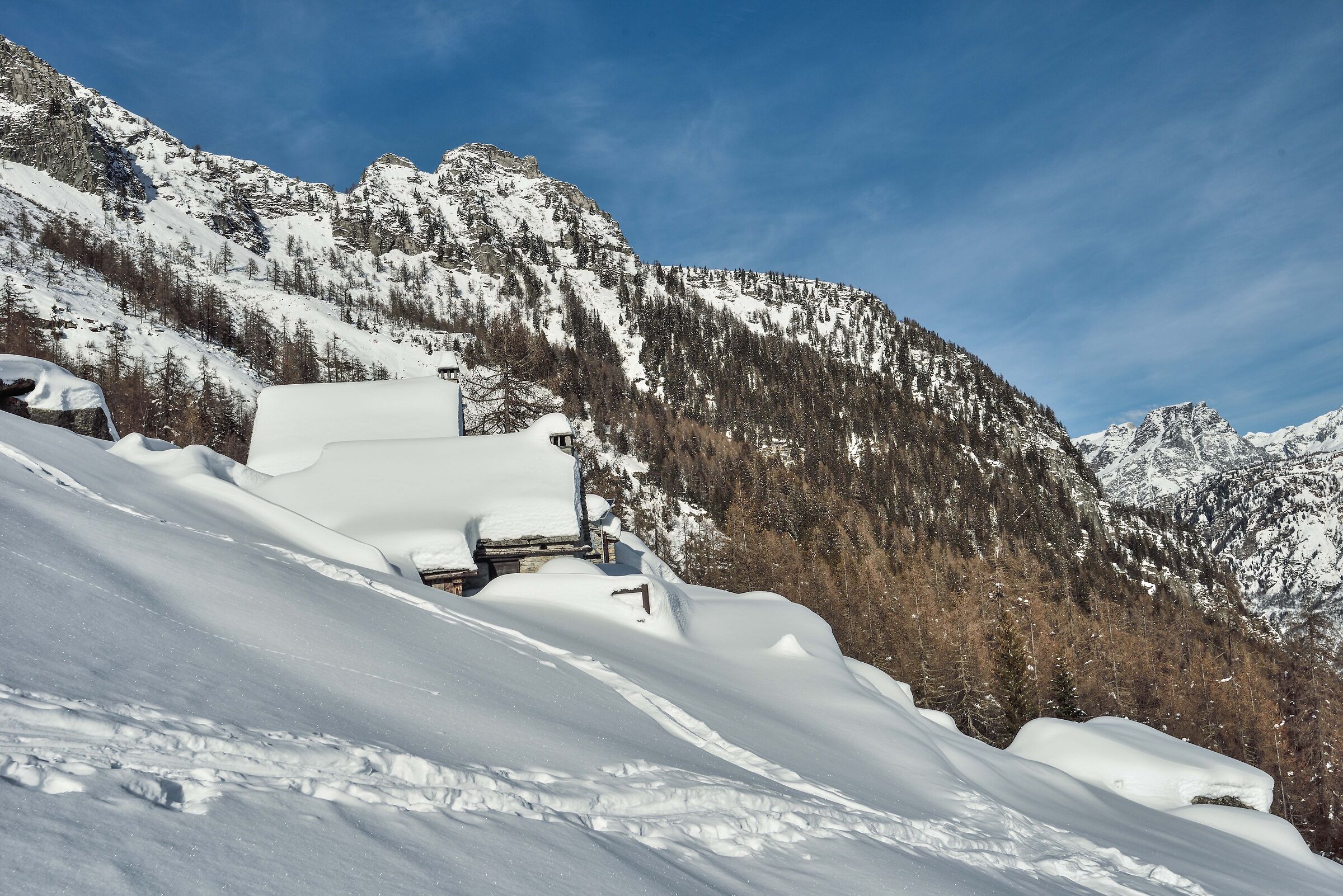 lungo la ripida salita dall'Alpe Deccia inferiore