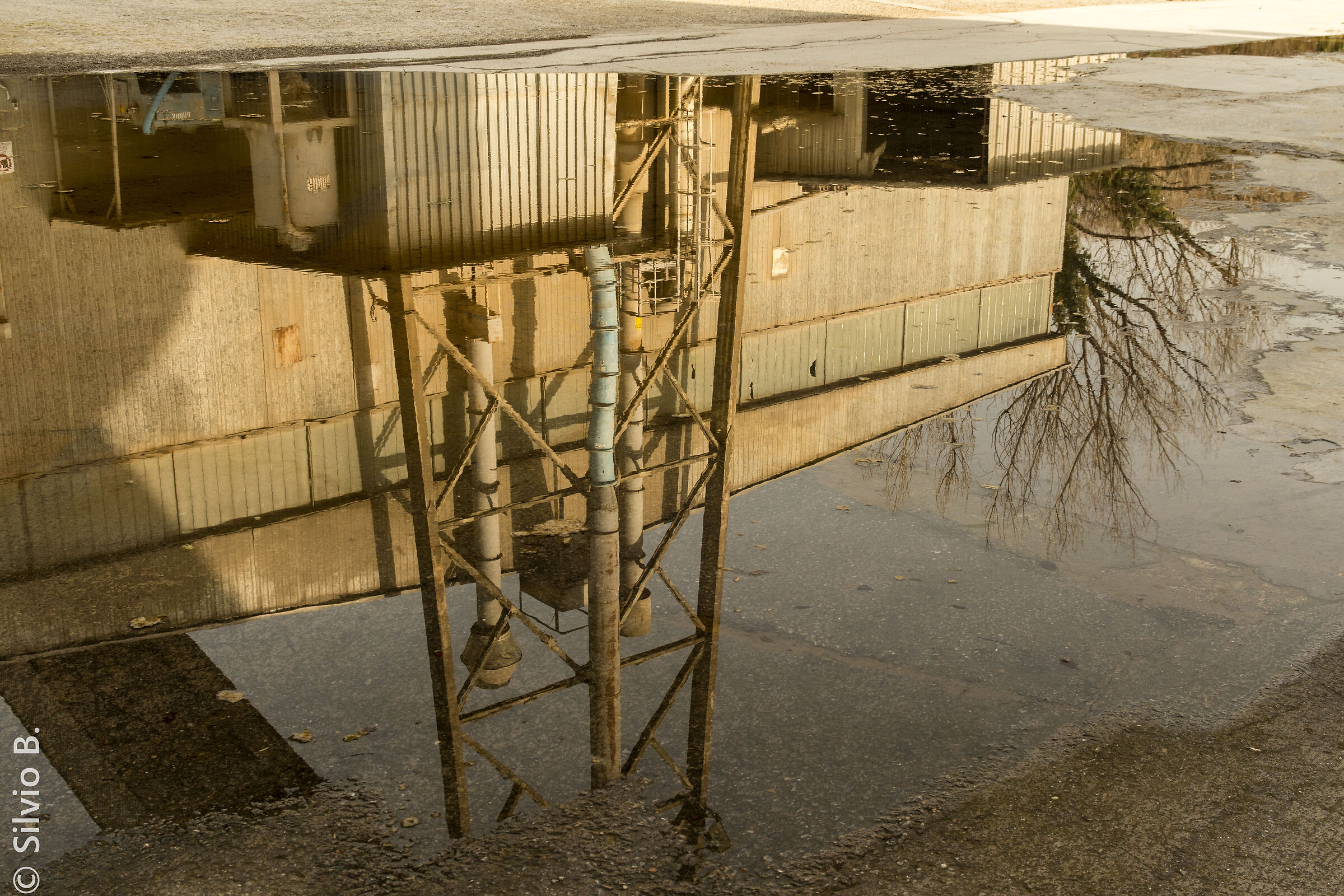 Riflessi d'industria