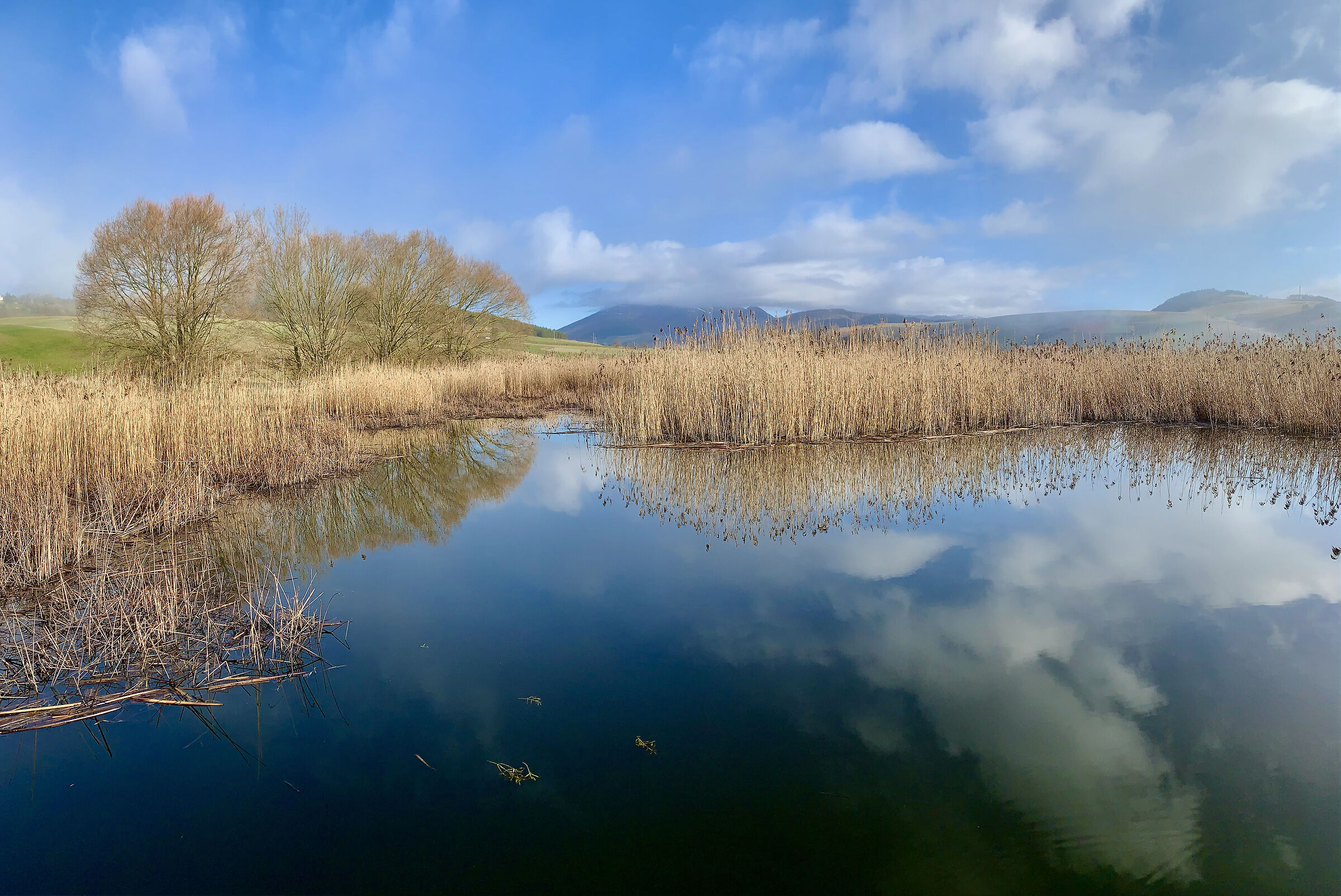 La palude di Colfiorito