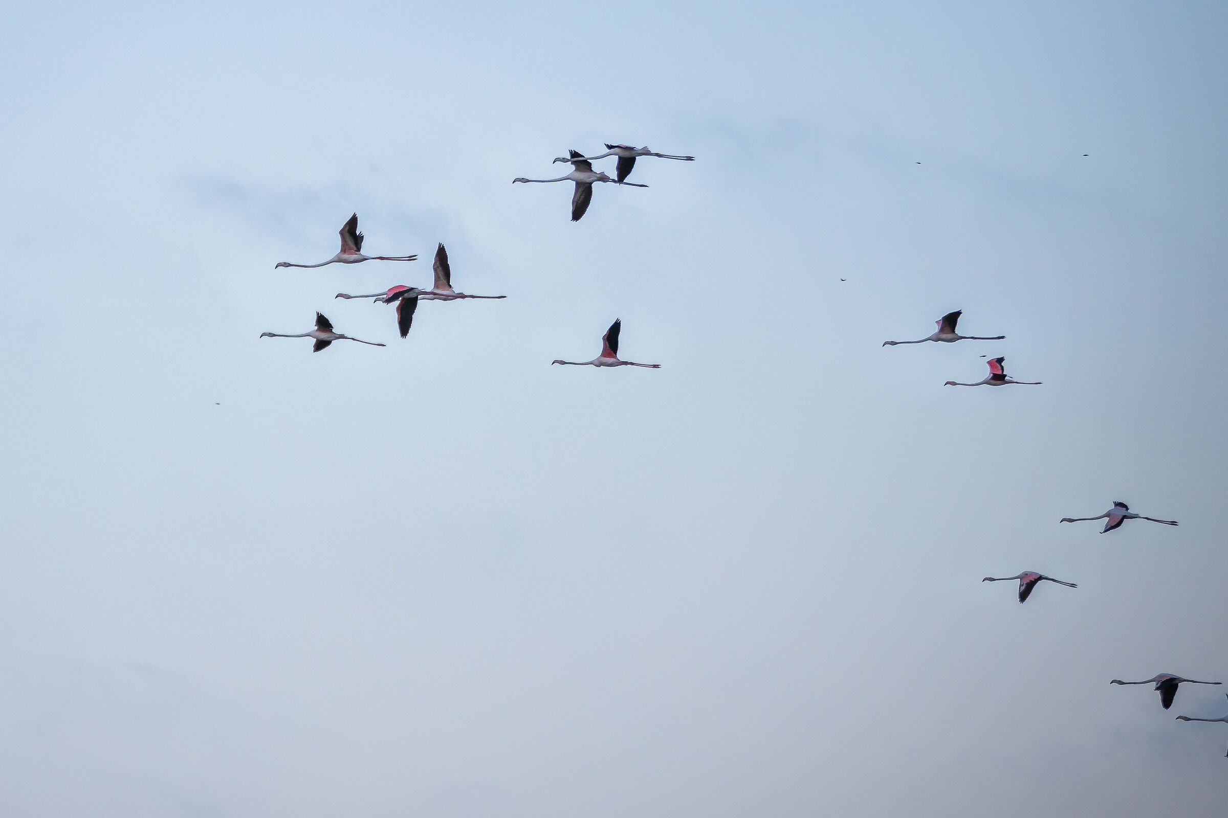 Ultimo volo della giornata...