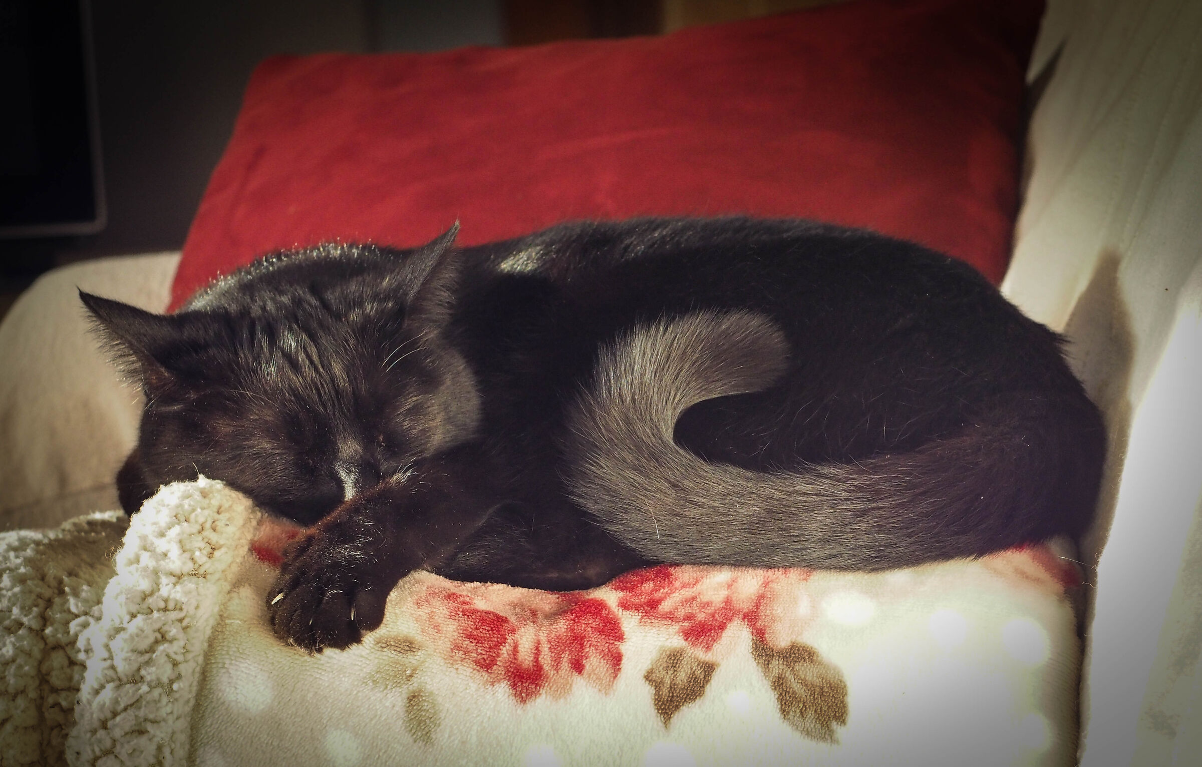 ...to sleep,may be to dream...